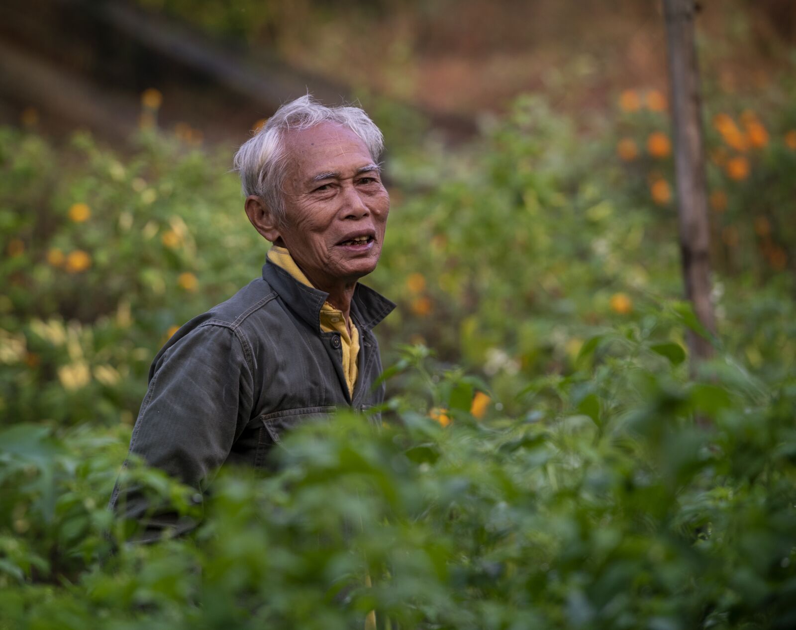 Nikon D750 sample photo. Farm man, thai farmer photography