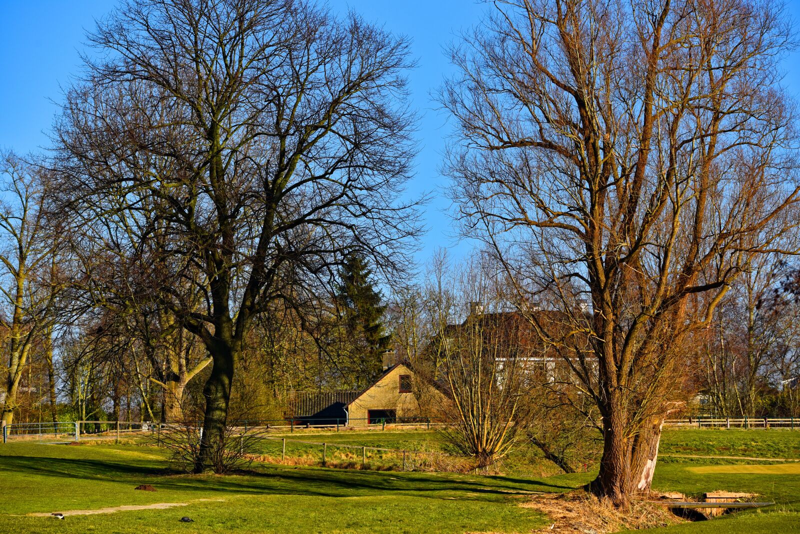 Nikon D750 sample photo. Tree, farmhouse, grass photography