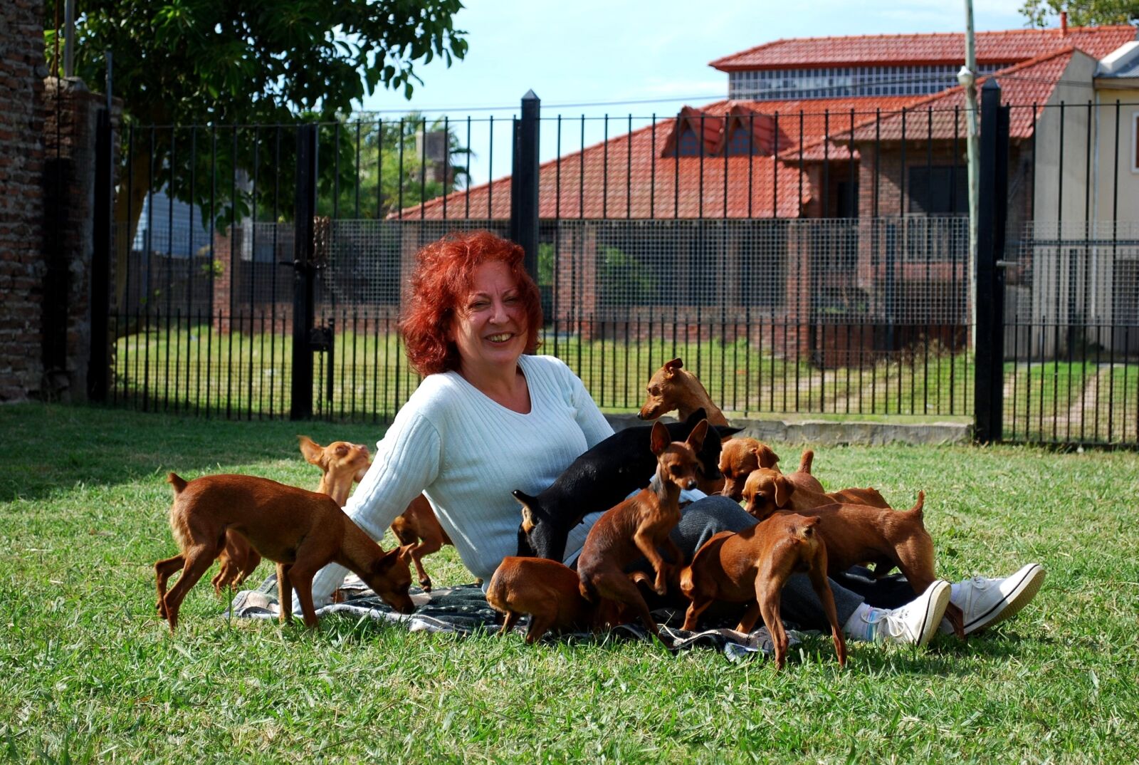 Nikon D60 sample photo. Argentina, silver, buenos aires photography