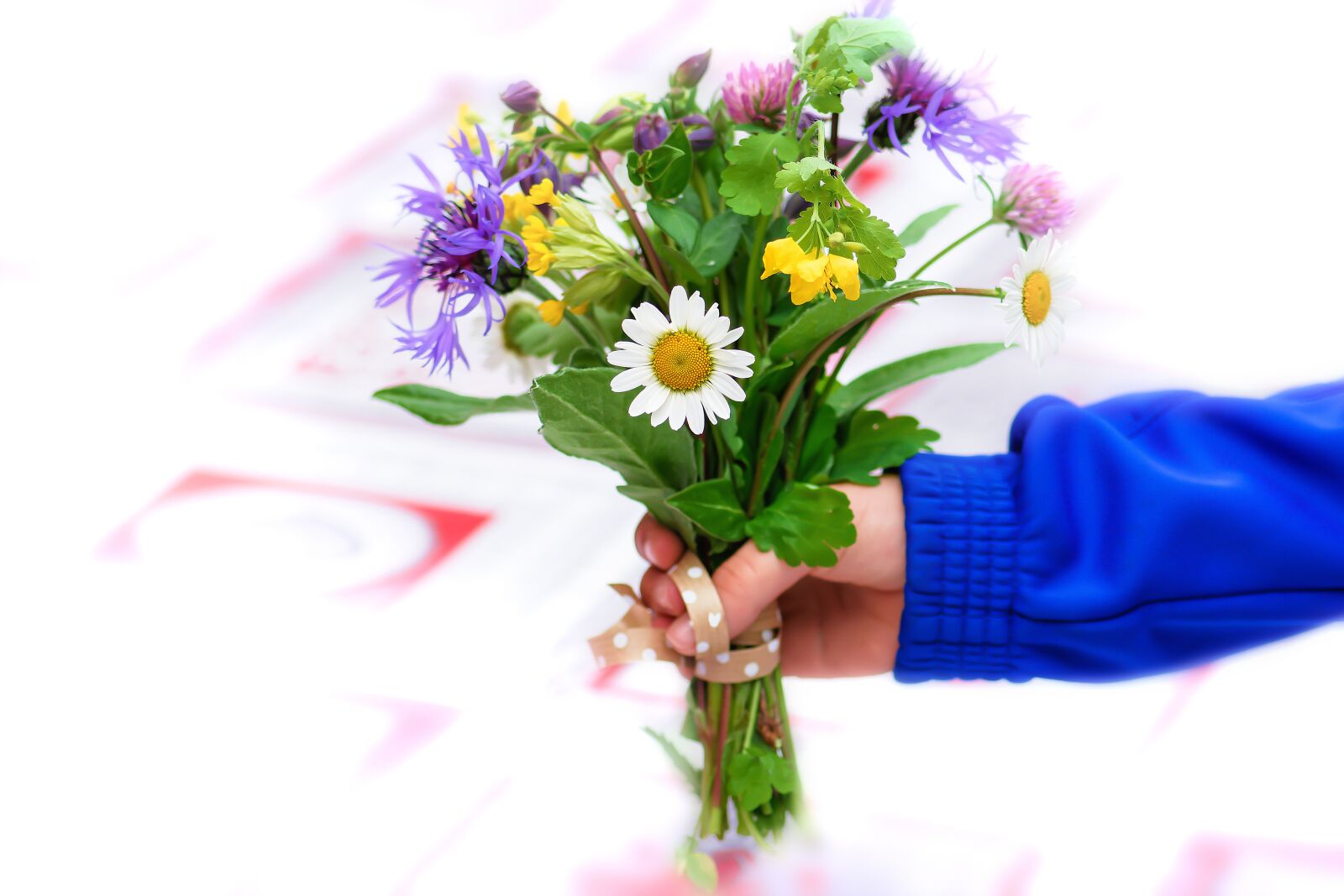Nikon D7200 sample photo. Spring flowers, hand, wild photography
