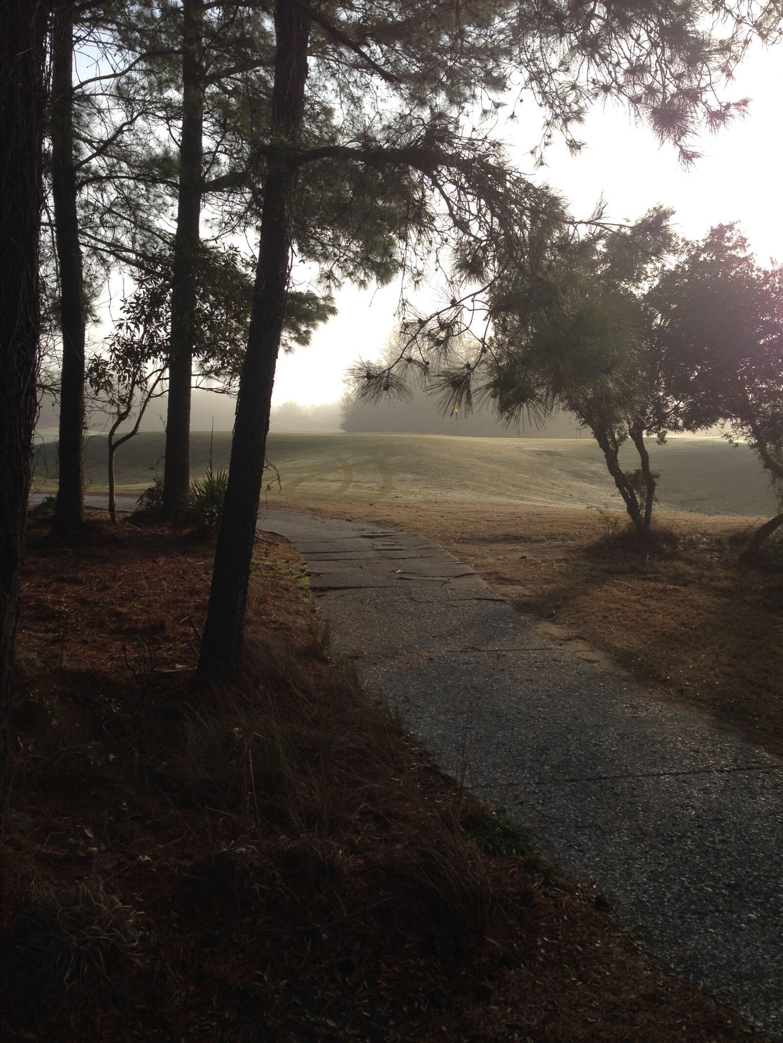 Apple iPhone 5 sample photo. Path, golf, green photography