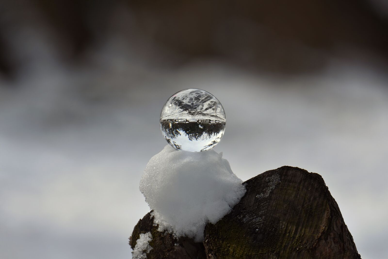 Nikon D7200 sample photo. Natural, landscape, forest photography
