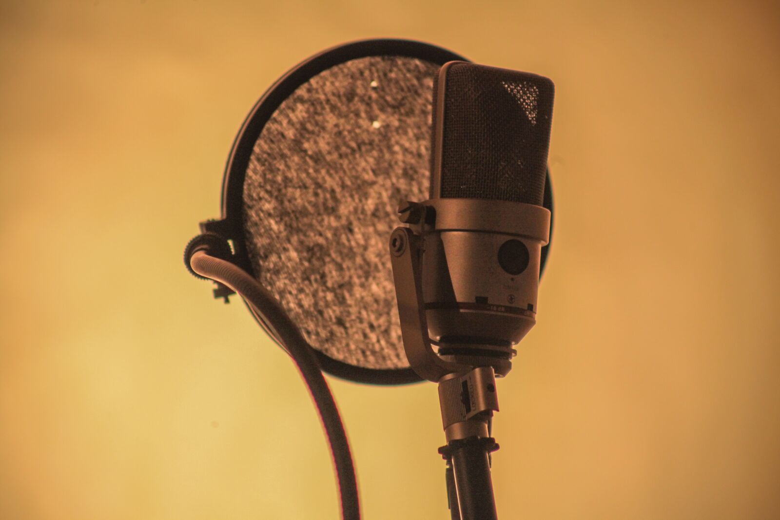 Canon EF 75-300mm f/4-5.6 sample photo. Neuman, microphone, recording photography