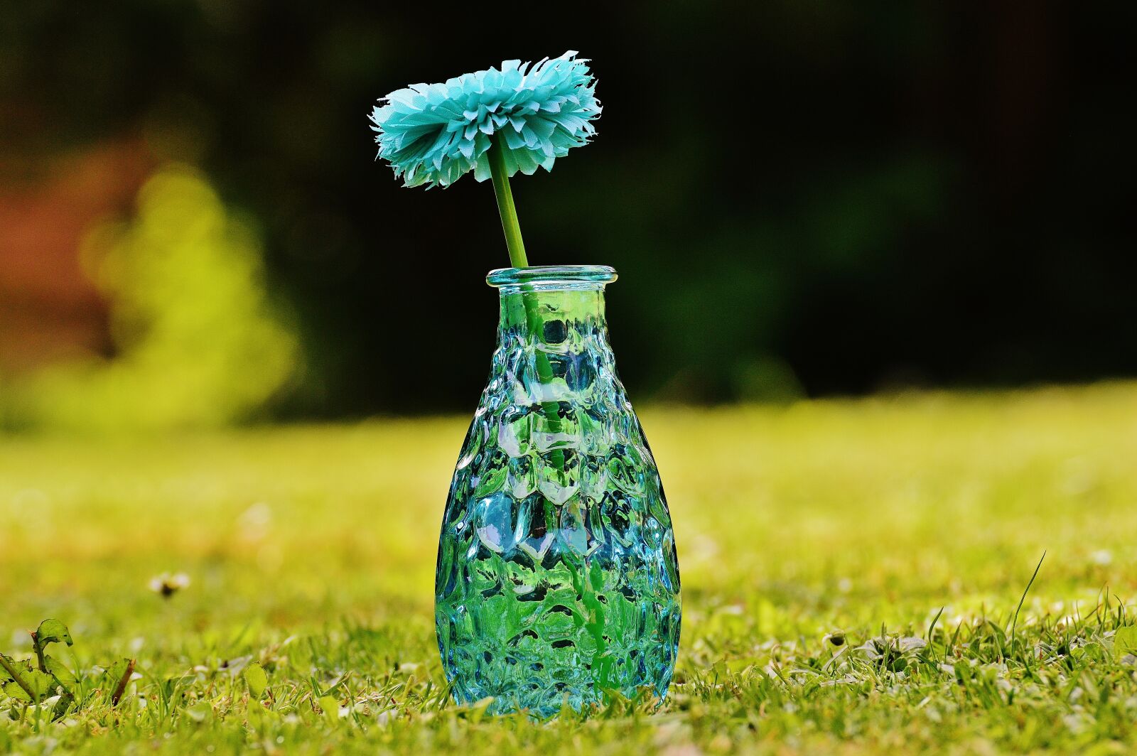 Nikon D3200 sample photo. Vase, glass, flower photography