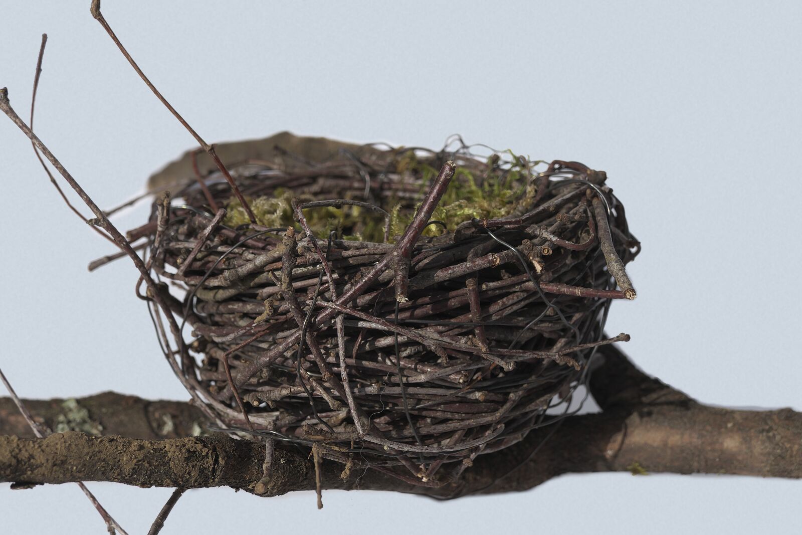 Panasonic Lumix DMC-FZ1000 sample photo. Bird's nest, nest, easter photography
