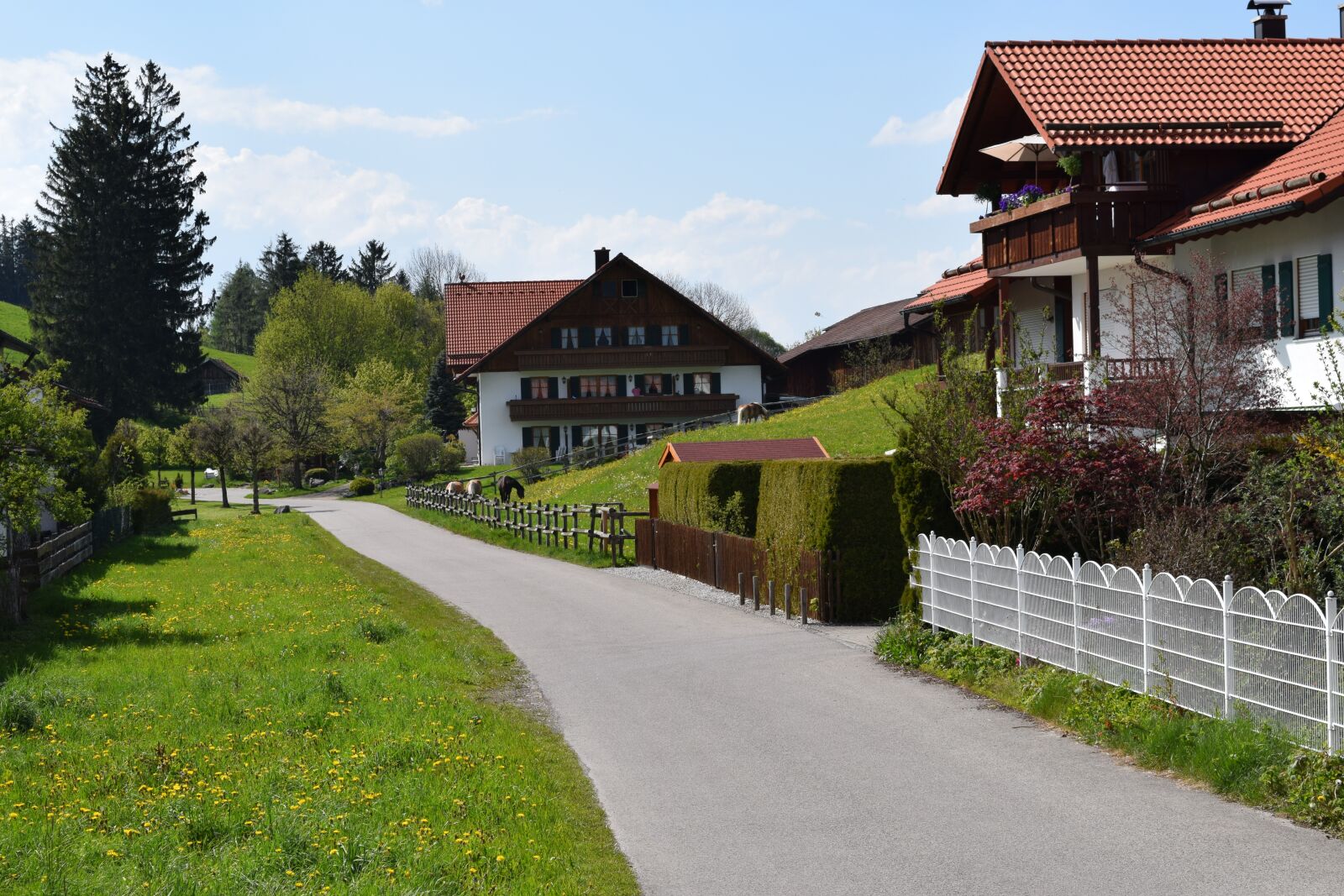 Nikon D3300 sample photo. Germany, house, nature photography