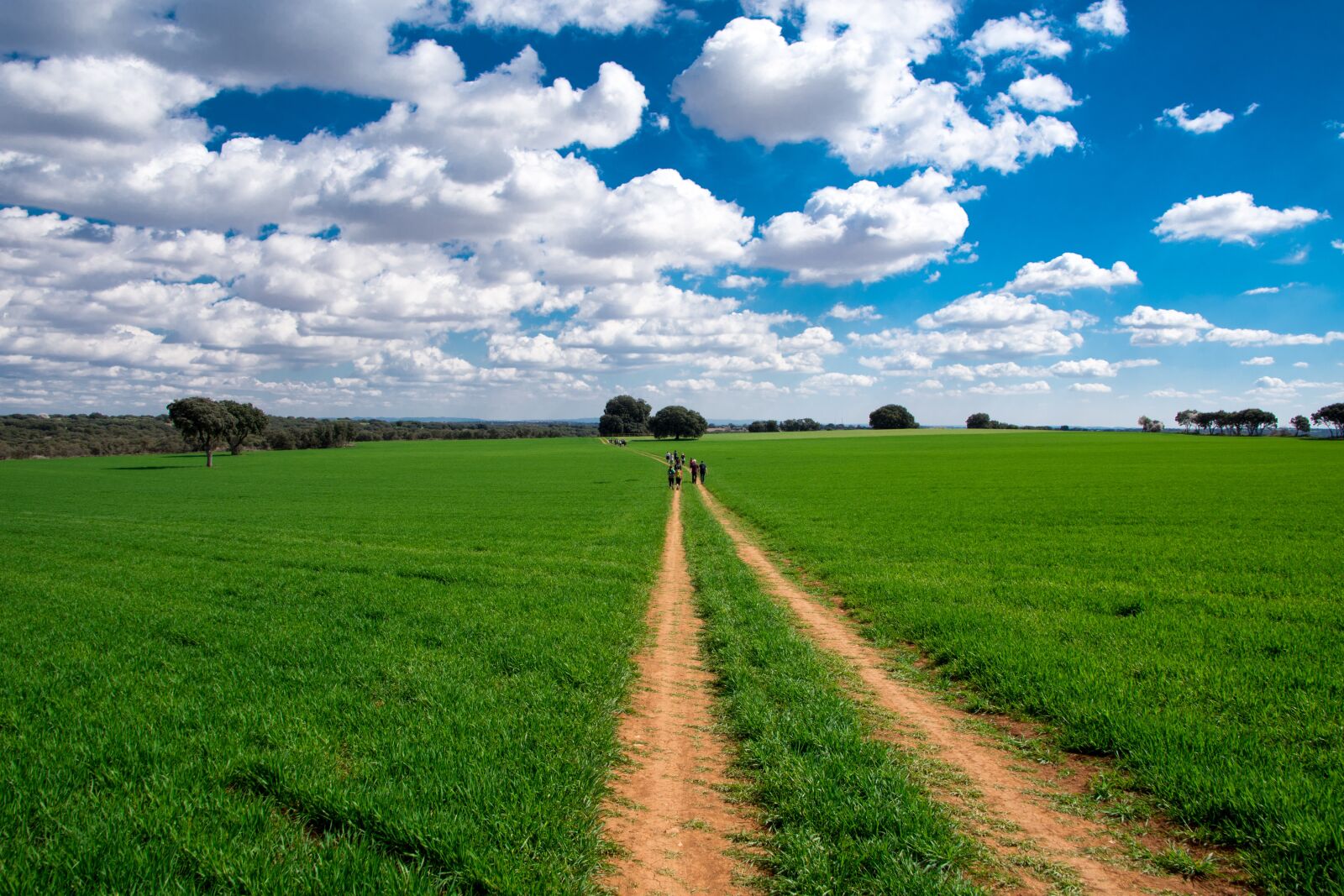 Nikon D7200 sample photo. Hiking, nature, madrid photography