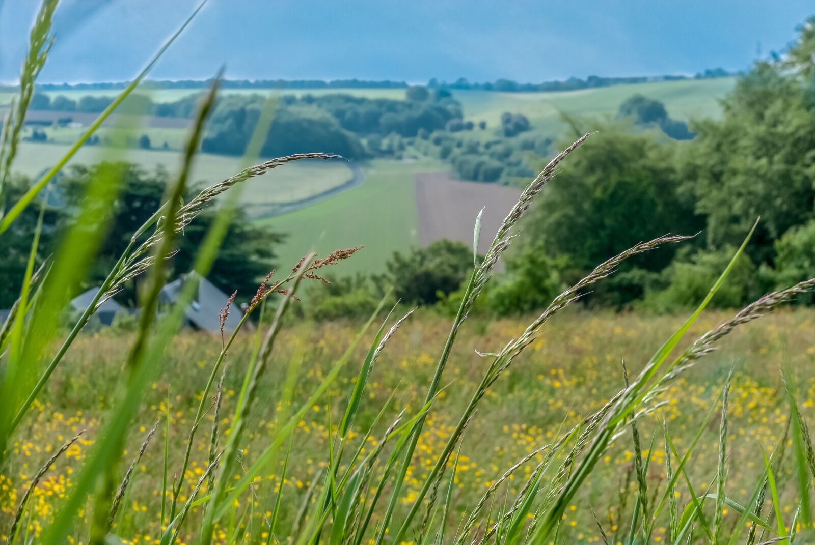 Nikon D80 sample photo. Field, normandy, france photography