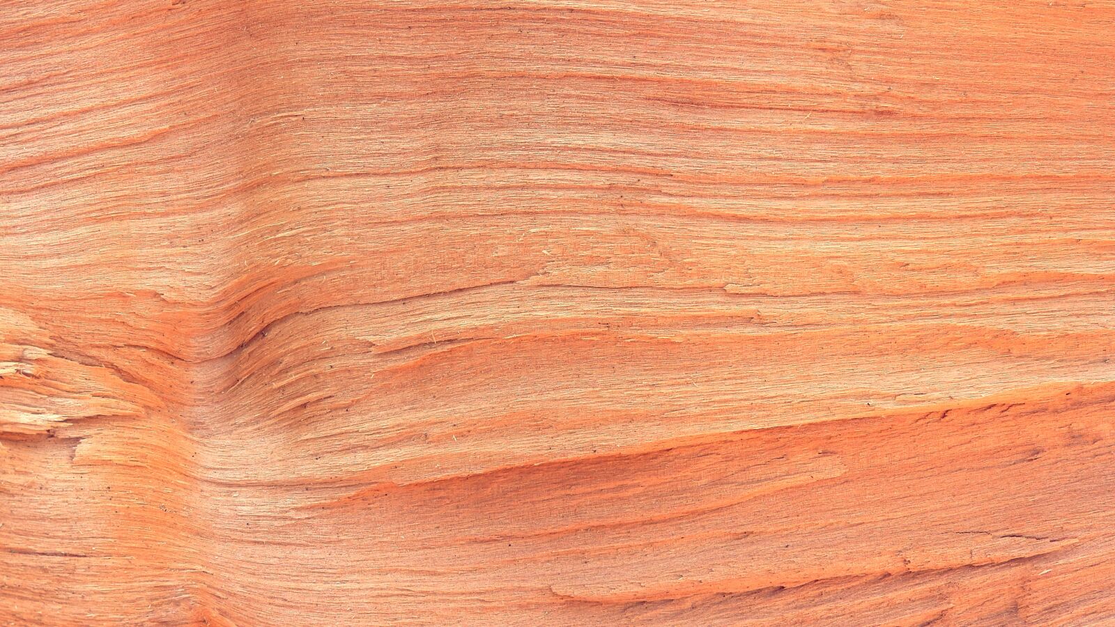 Nikon Coolpix P610 sample photo. Wood, texture, surface photography