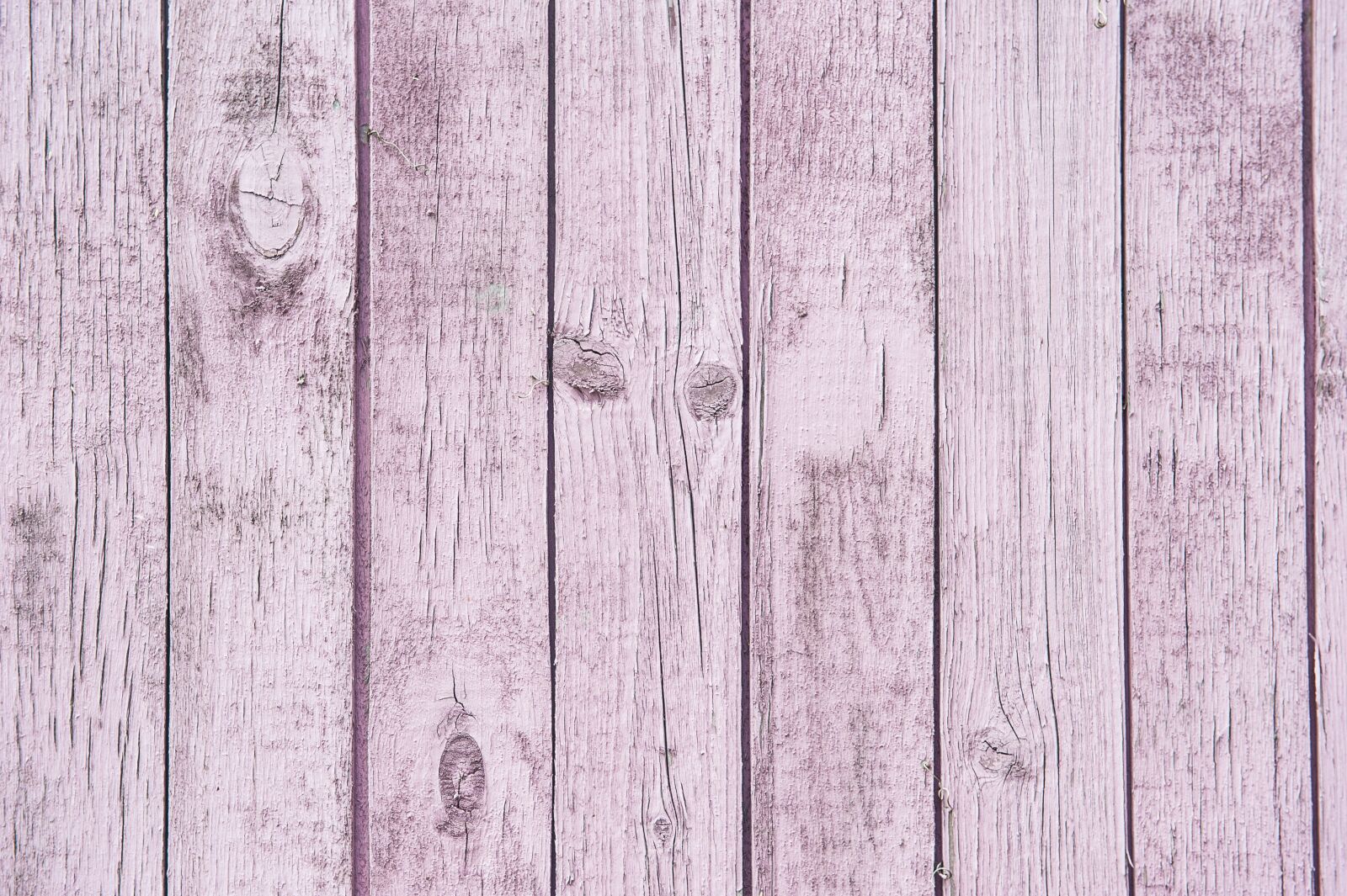 Nikon D700 sample photo. Pink, the old board photography