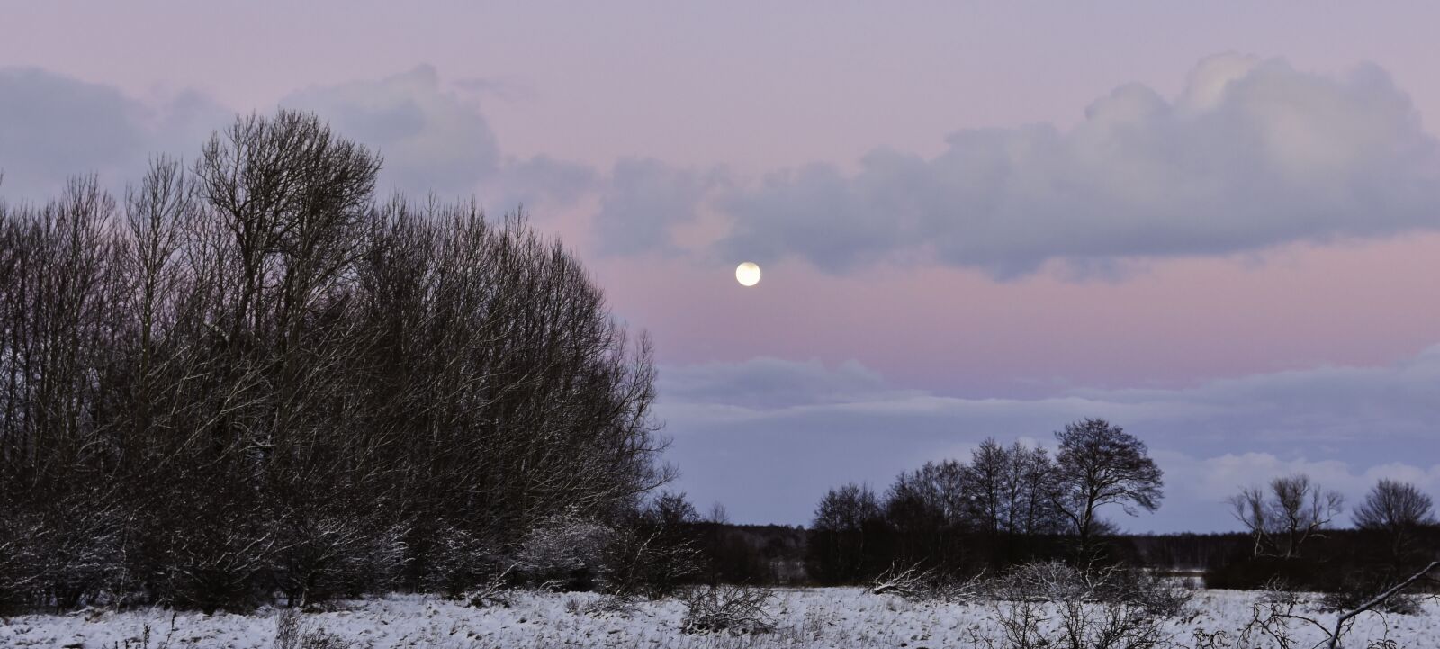 Nikon D7200 sample photo. Sky, moon, winter landscape photography
