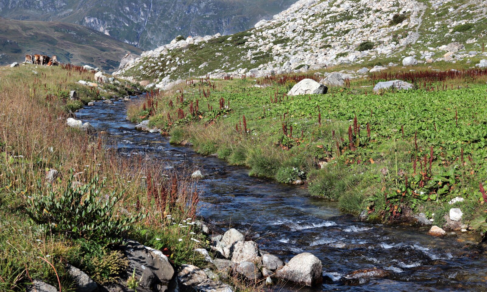 Canon EF 50mm F1.8 STM sample photo. Mountain river, mountain meadow photography