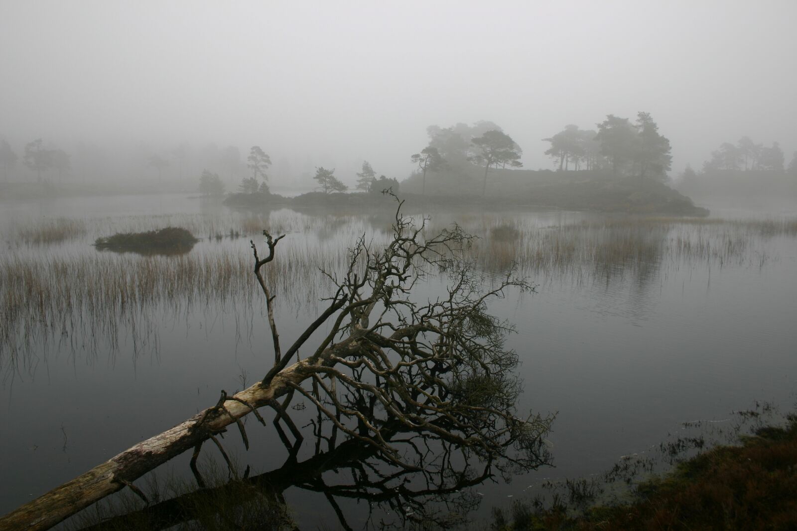 Canon EOS 300D (EOS Digital Rebel / EOS Kiss Digital) sample photo. Body of water, fog photography