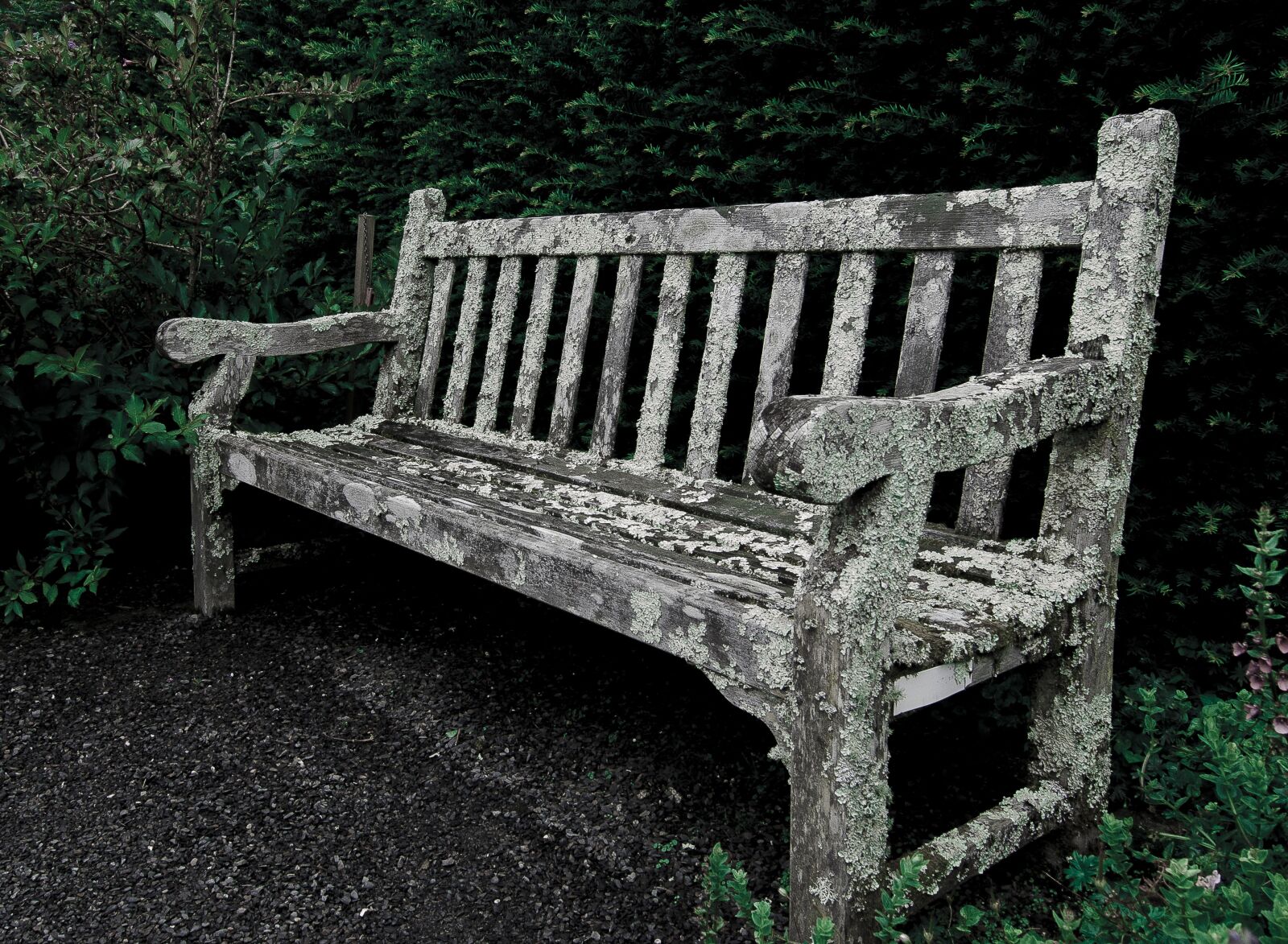 Nikon D7000 sample photo. Bench, garden, park photography