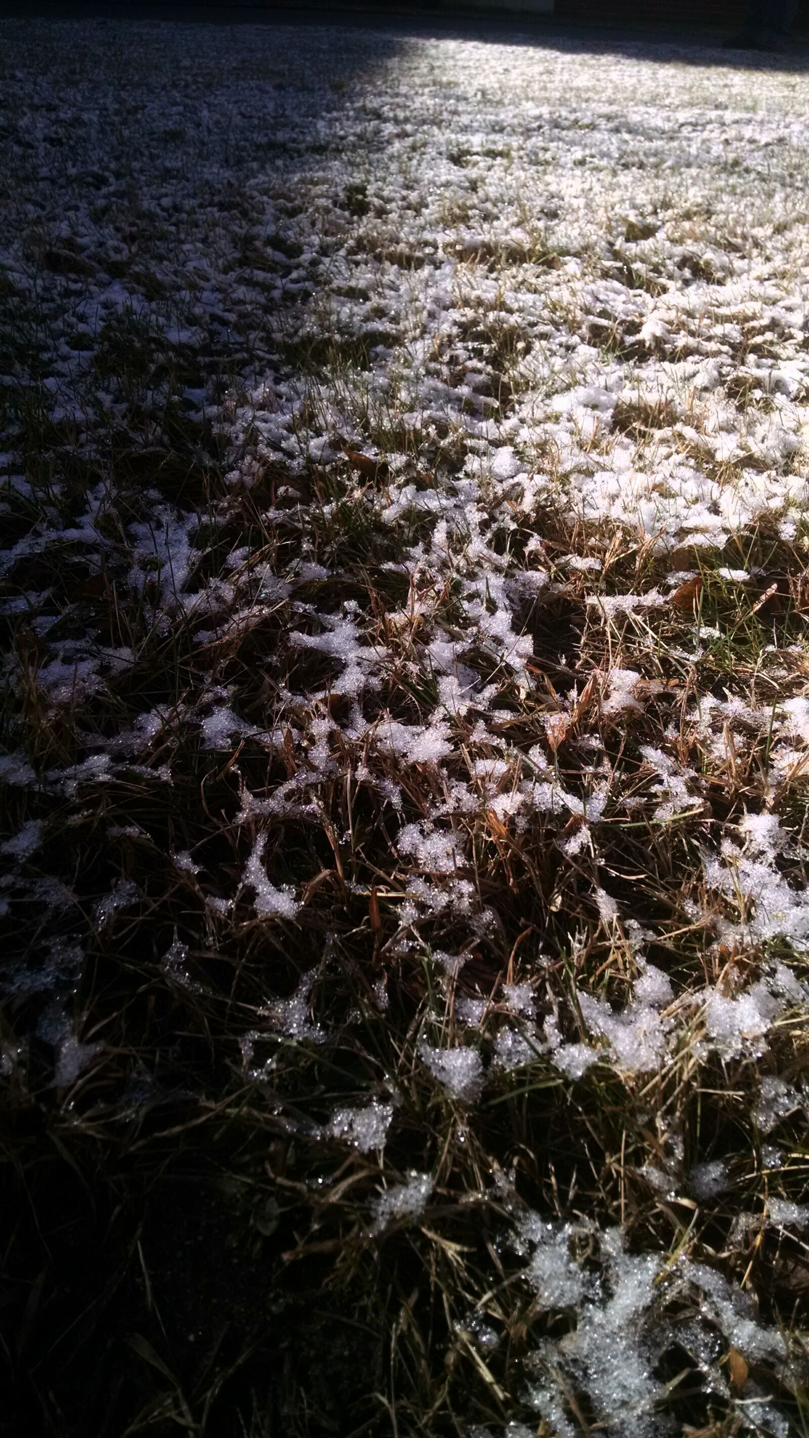 Motorola Moto X (1st Gen) sample photo. Grass, shadow, snow photography