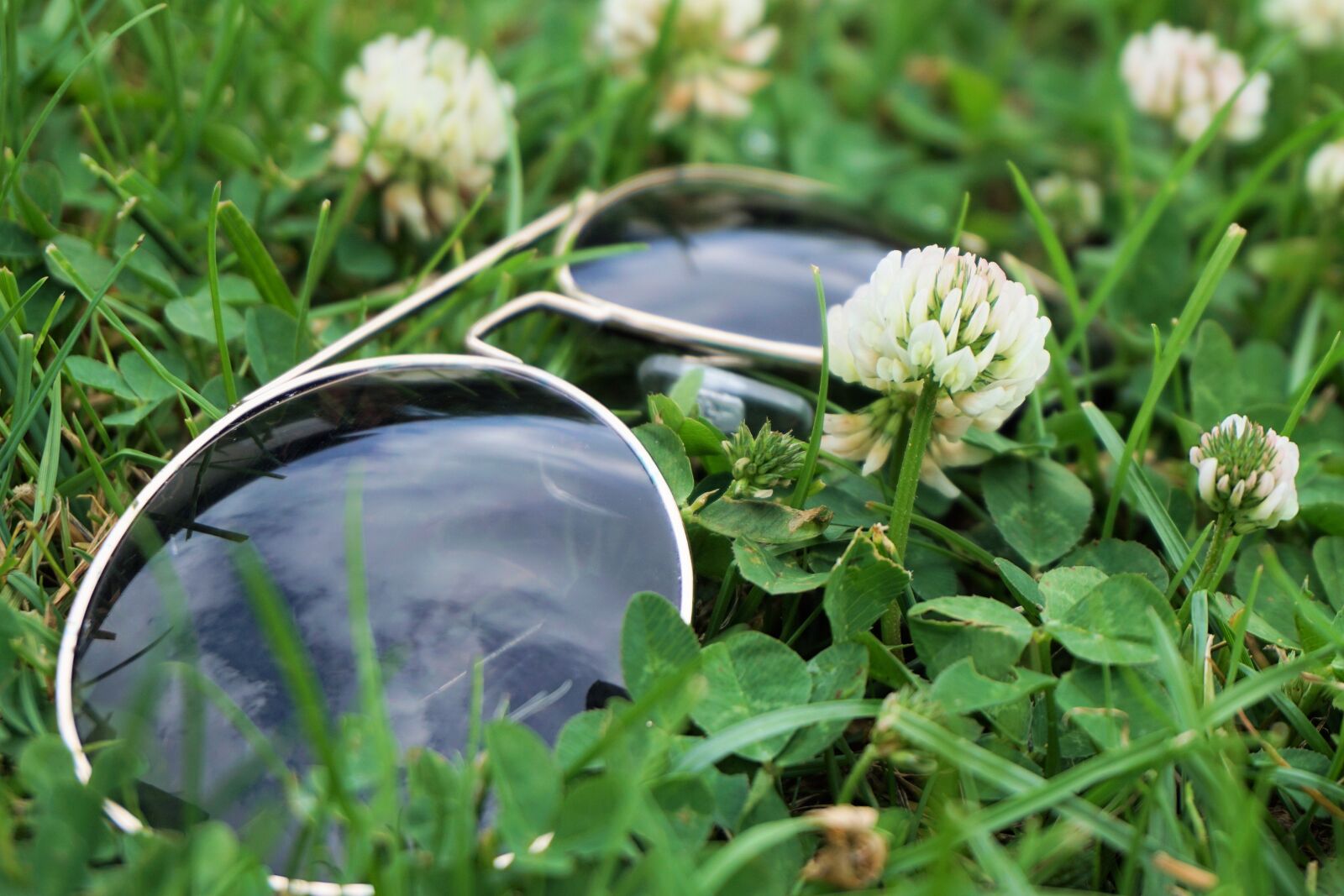 Sony a6000 sample photo. Sunglasses, klee, glasses photography