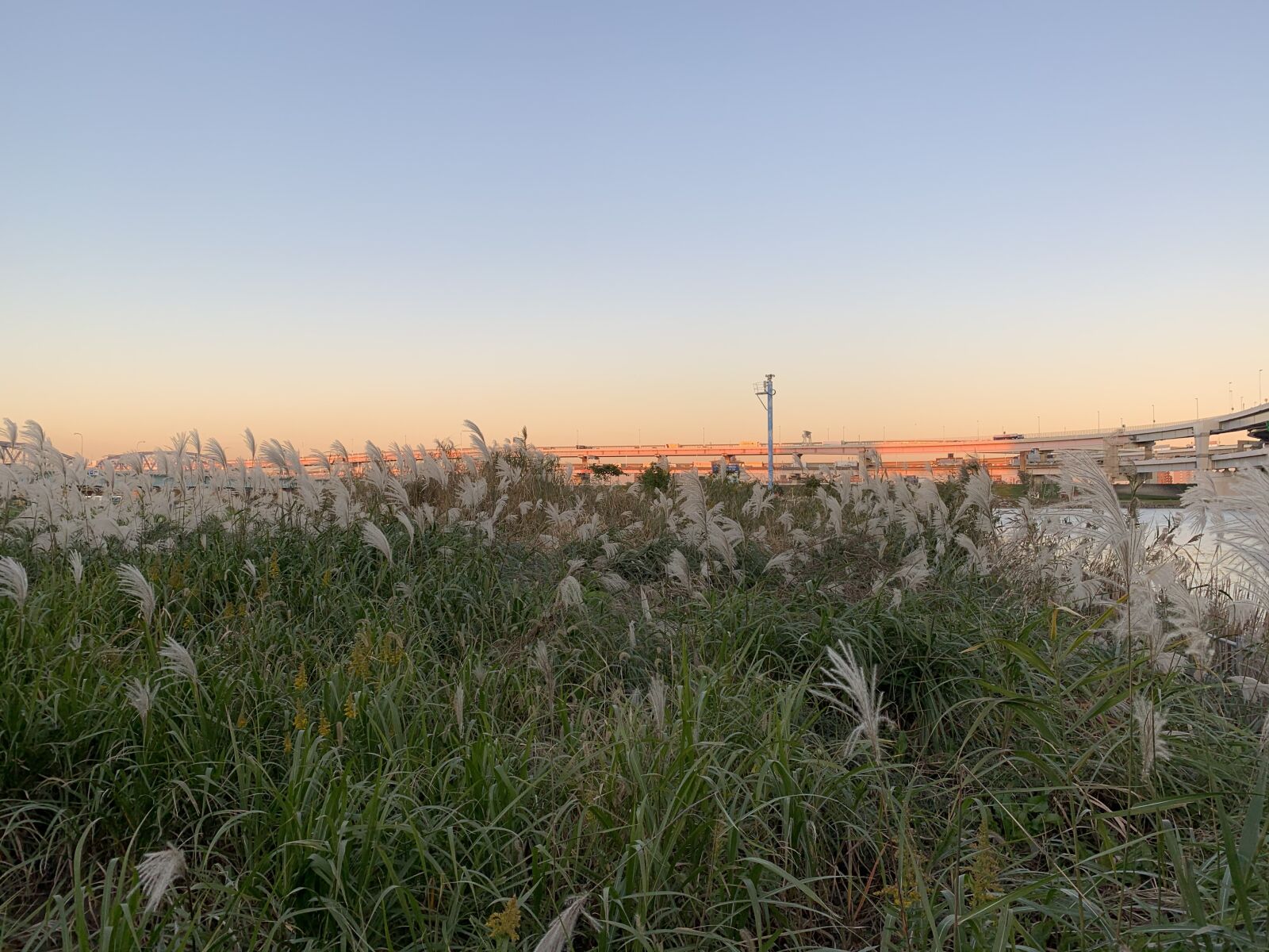Apple iPhone XR sample photo. Senjuakebonocho, arakawa river, adachi-ku photography