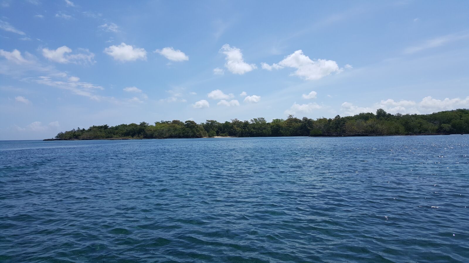 Samsung Galaxy Note5 sample photo. Water, nature, flowers photography