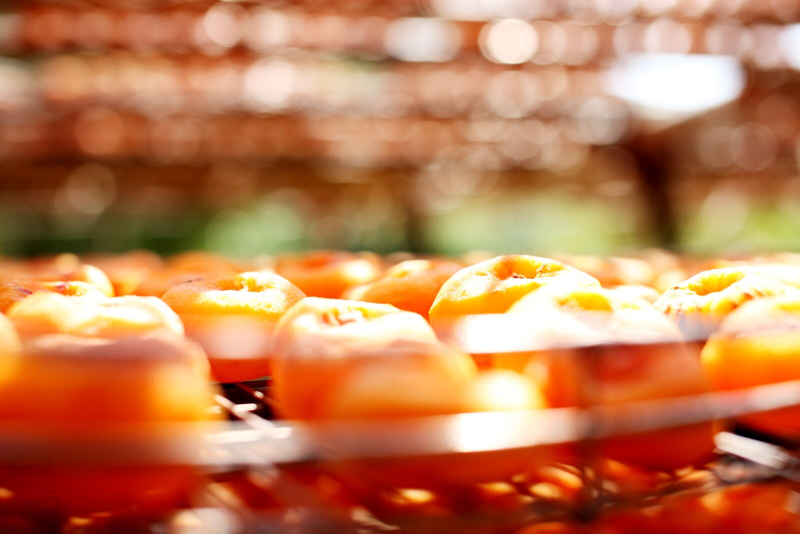 Canon EOS 5D sample photo. Persimmon, taiwan persimmon, dried photography