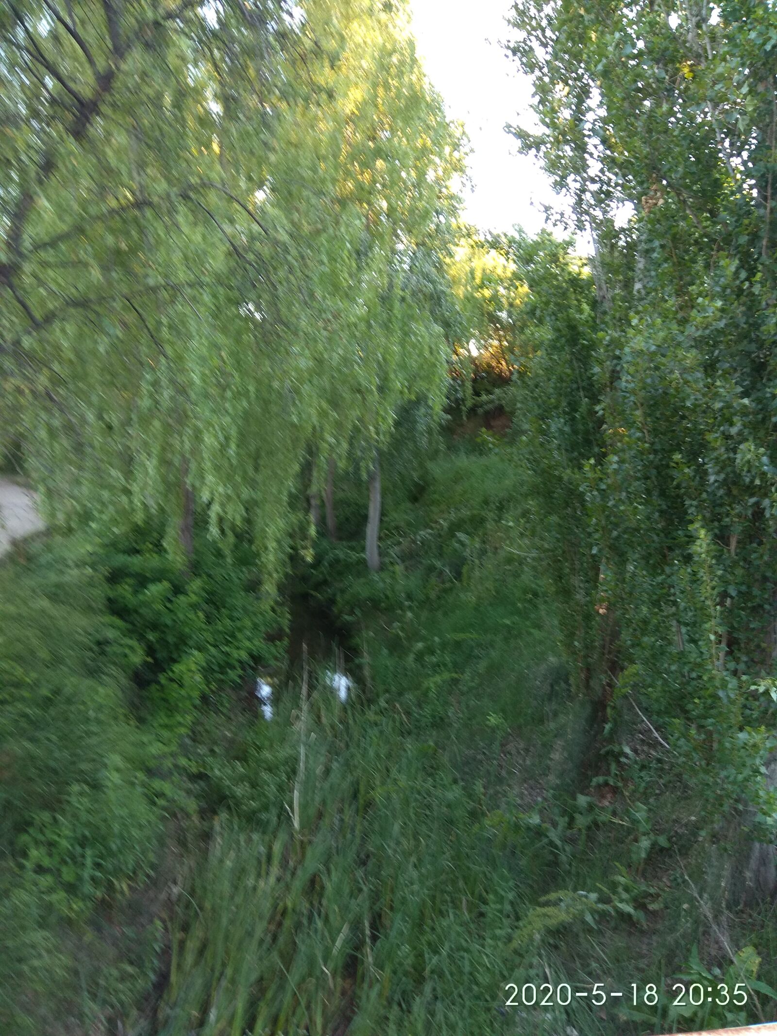 Xiaomi Redmi Note 4 sample photo. Planta, jardín, árbol photography