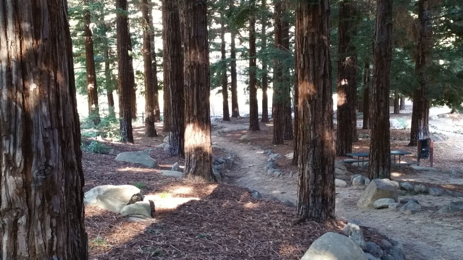 Samsung Galaxy Note4 sample photo. Park, path, trees, woods photography