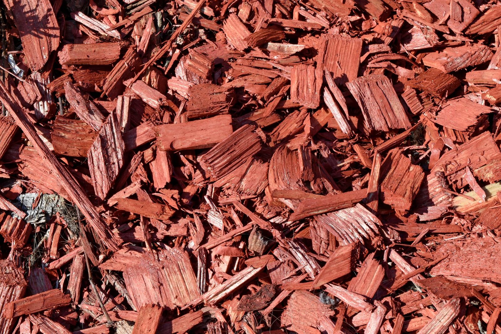 Nikon D5500 sample photo. Bark, texture, batch, pile photography
