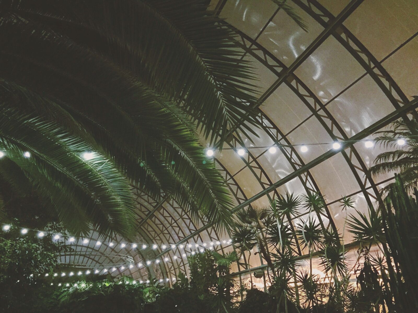 Apple iPhone 6 sample photo. Greenhouse, tropical photography