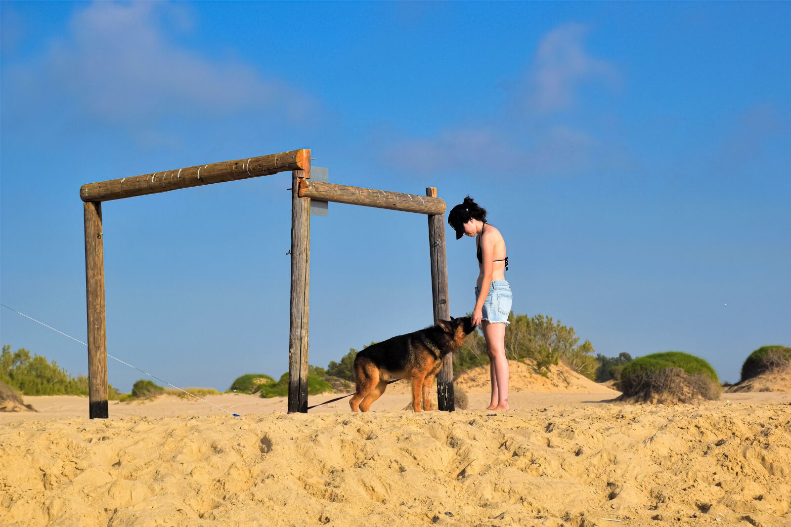 Nikon D5600 sample photo. Friends, dog, young female photography