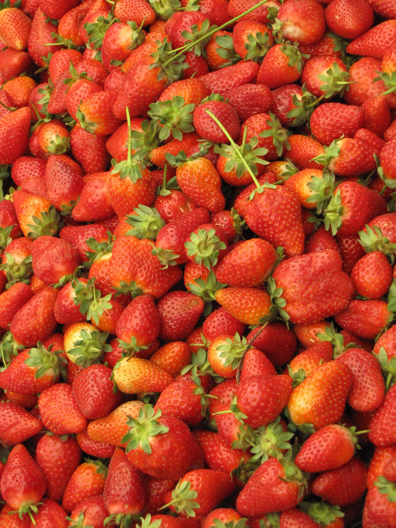 Canon PowerShot SX10 IS sample photo. Food, strawberry, fruit photography