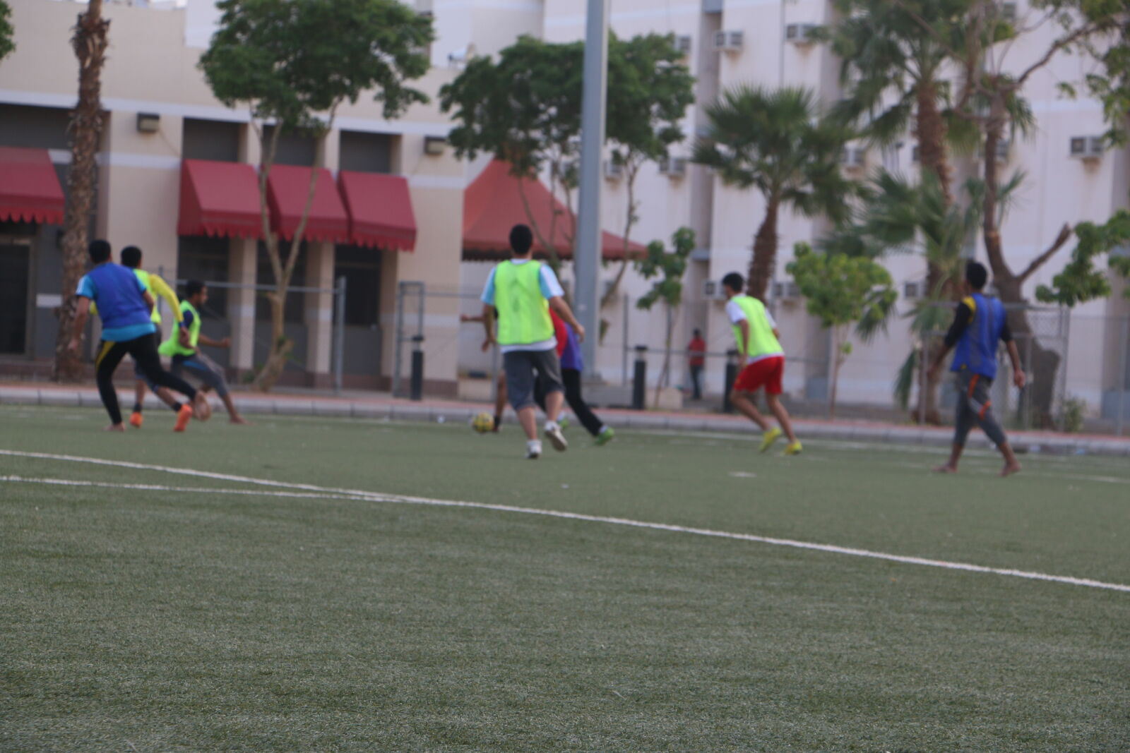 Canon EOS 70D sample photo