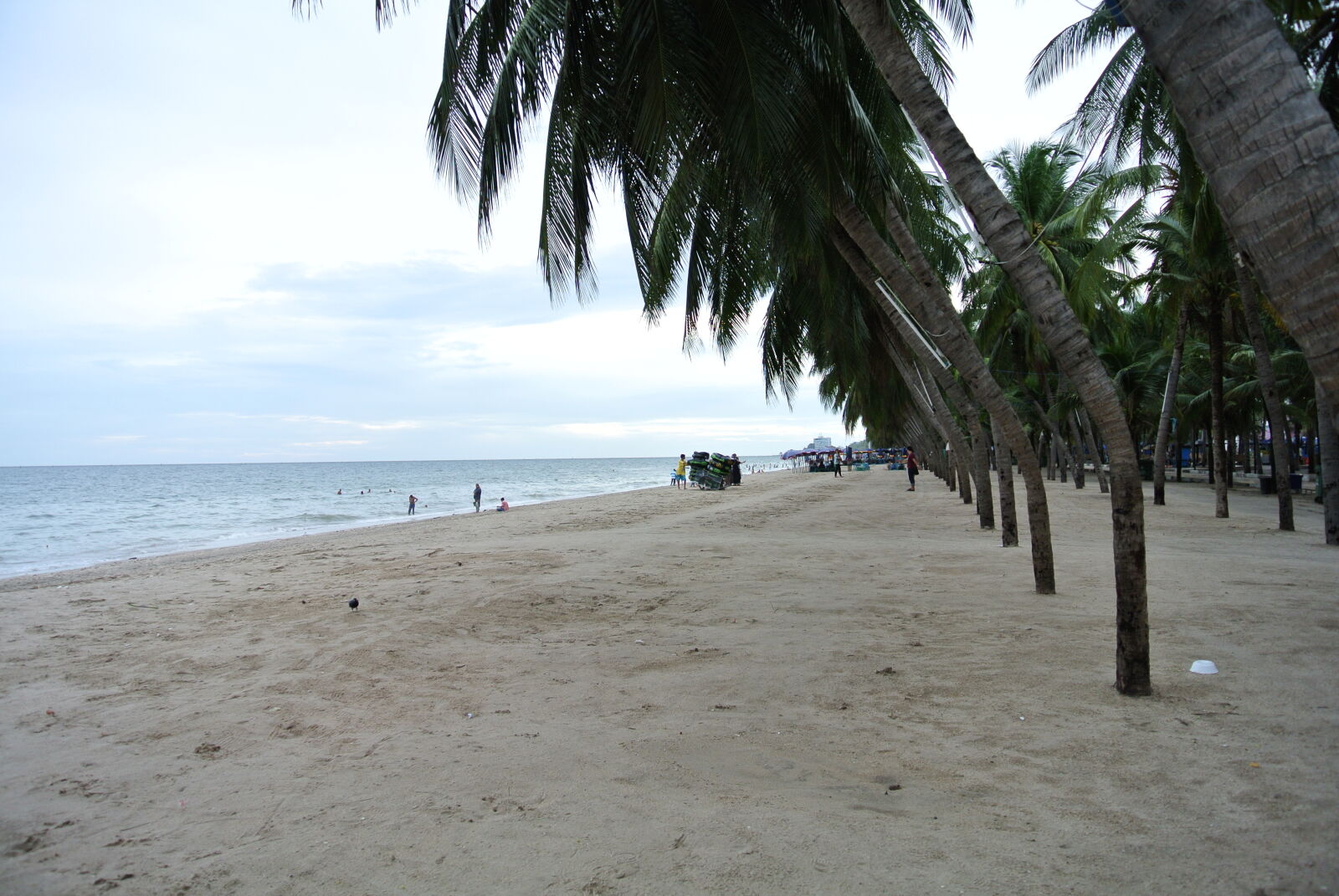 Nikon 1 J1 sample photo. Sea photography