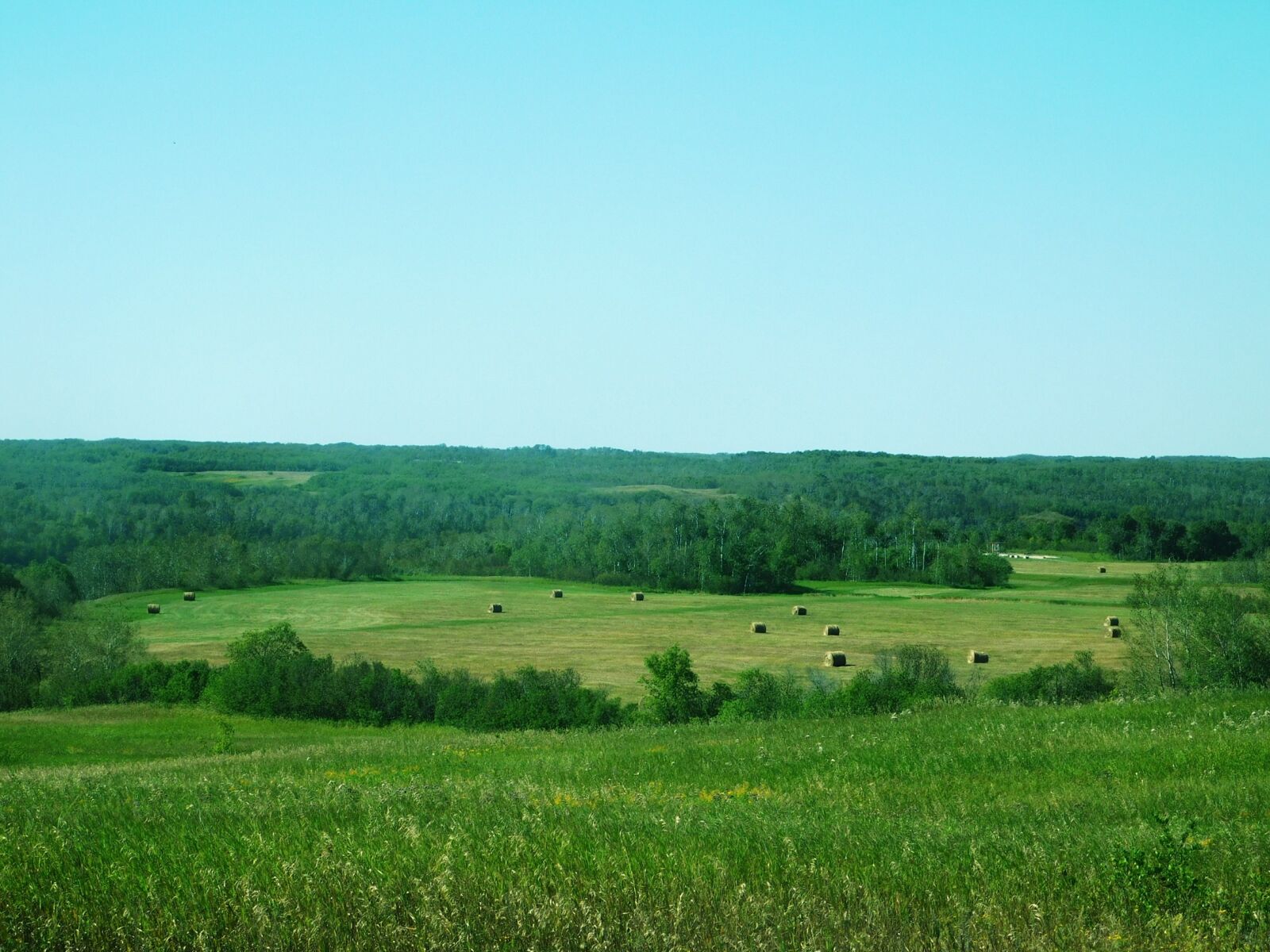 Nikon Coolpix L840 sample photo. Landscape, green, hay bail photography