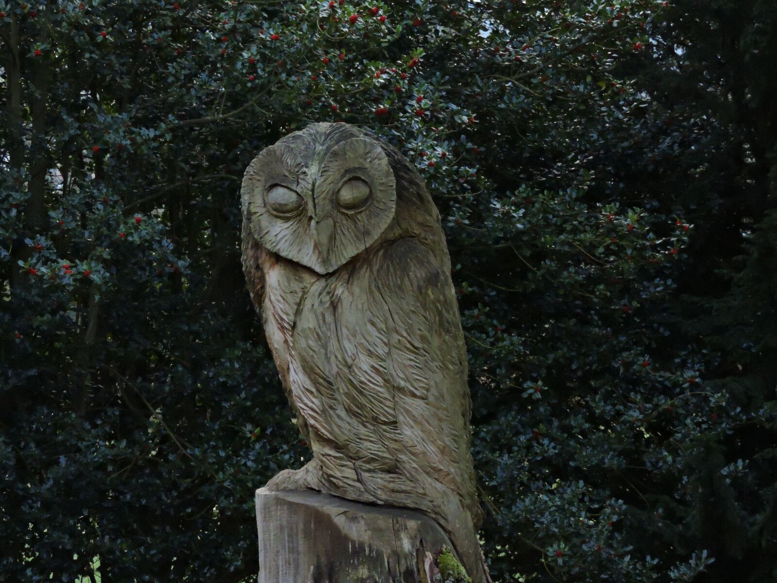 Nikon Coolpix P600 sample photo. Owl, wooden sculpture, sculpture photography