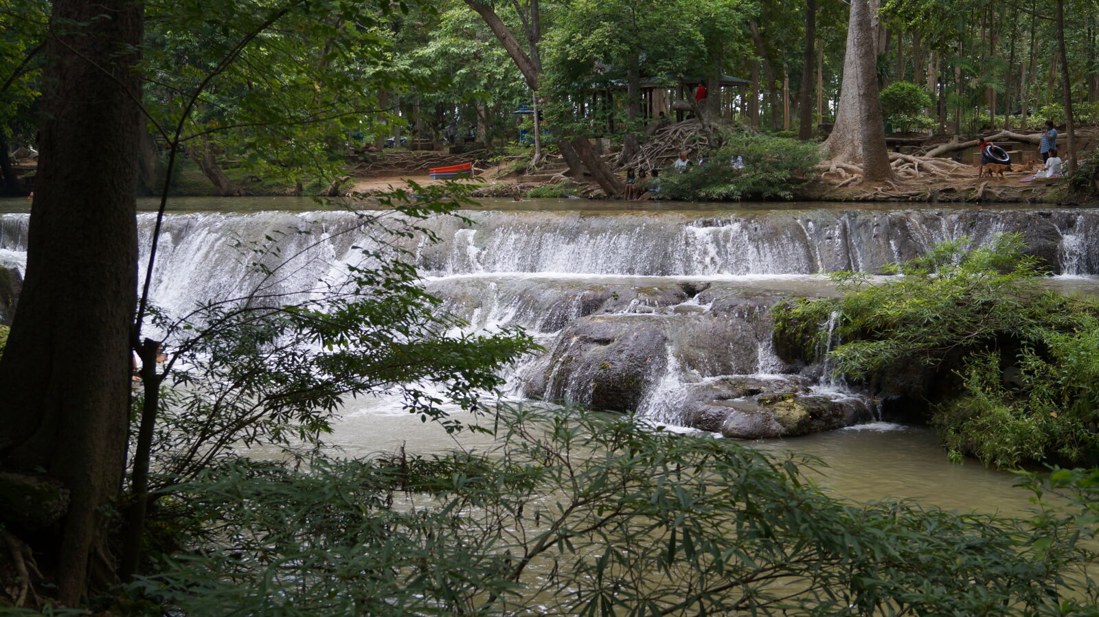 Sony SLT-A37 sample photo
