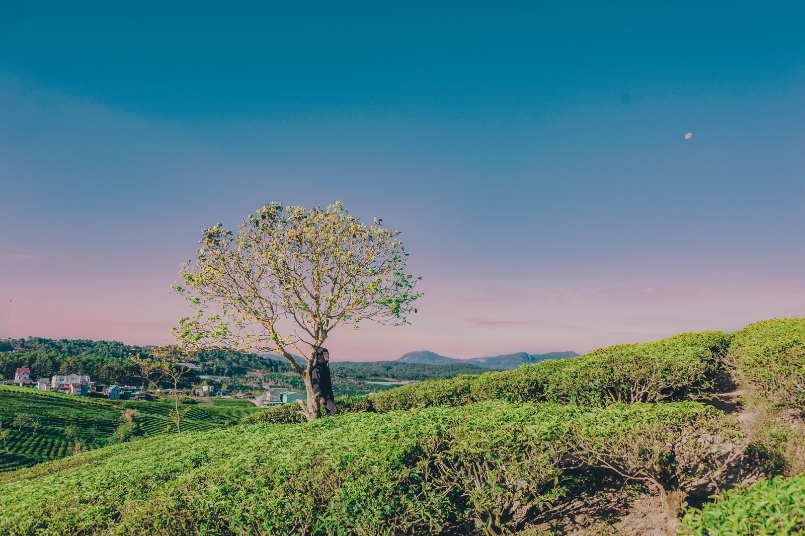 Nikon D700 sample photo. Landscape, travel, cute photography