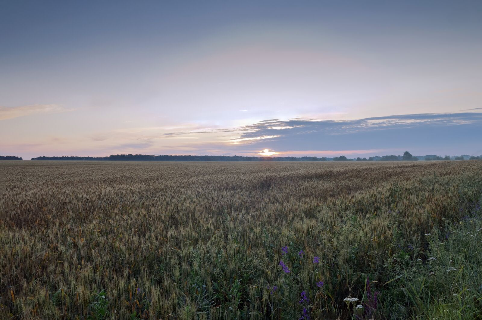 Nikon D5000 sample photo. Landscape, sky, nature photography