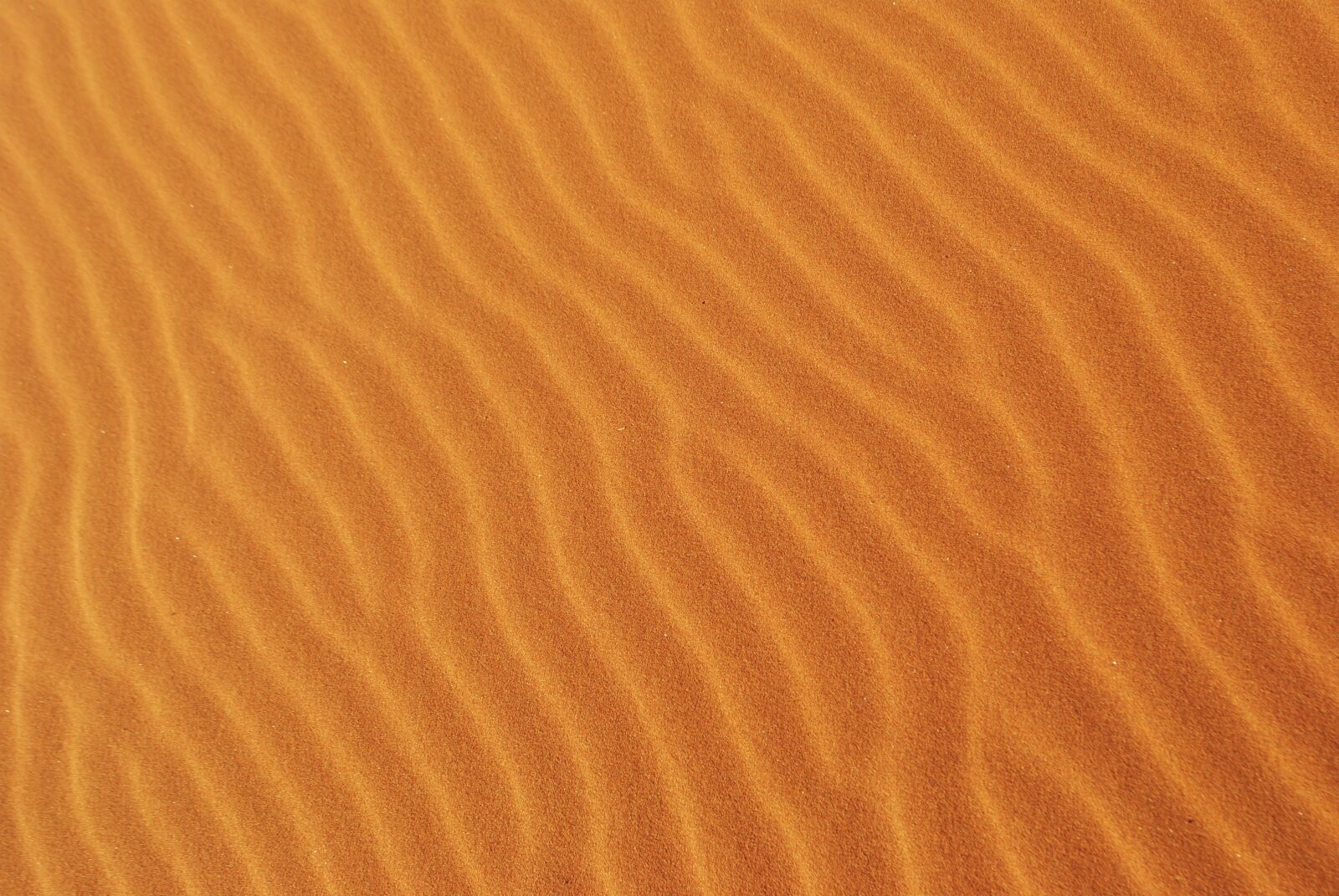 Nikon D3000 sample photo. Roter sand, africa, namibia photography