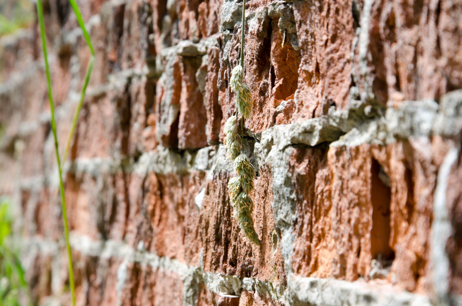 Nikon D5100 sample photo. Brick, bricks, damage, damaged photography