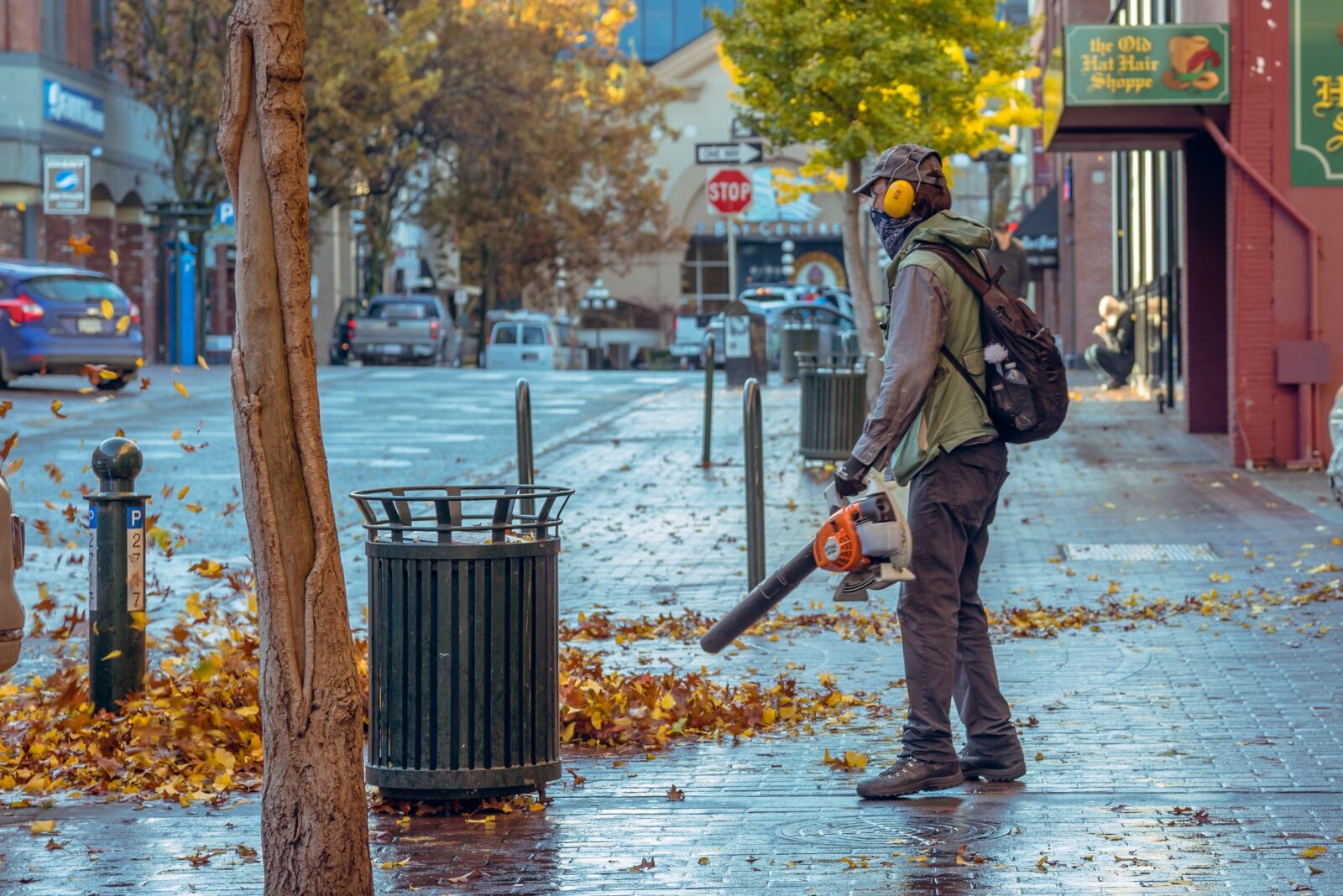 Nikon D750 sample photo. Fall, blowing street, leaves photography