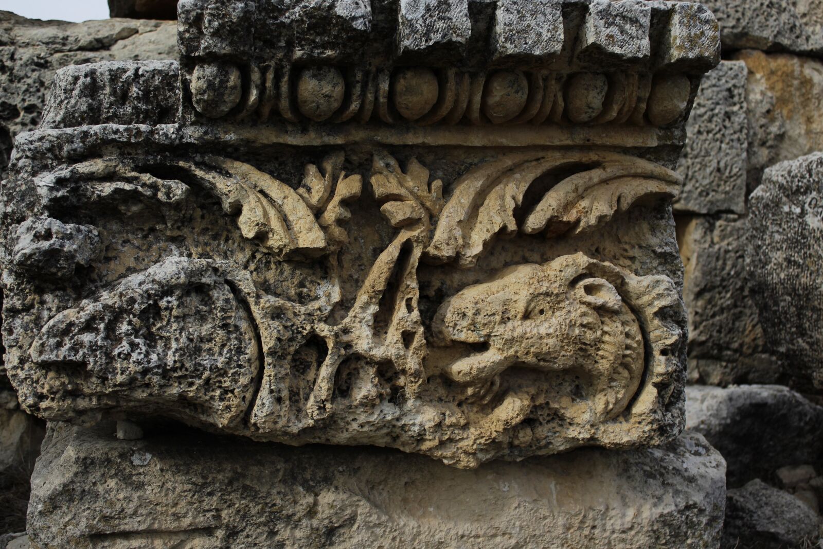 Canon EOS 1300D (EOS Rebel T6 / EOS Kiss X80) sample photo. Historical, relief, architecture photography