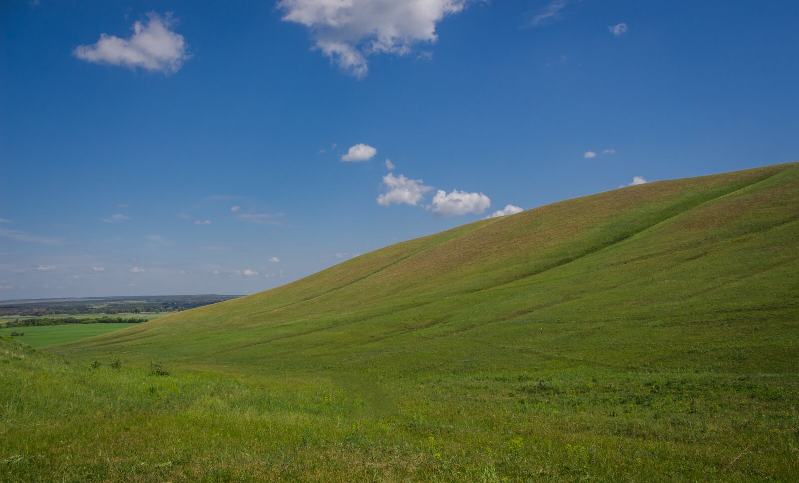 Canon EOS 650D (EOS Rebel T4i / EOS Kiss X6i) sample photo. Nature, horizon, peyzad photography