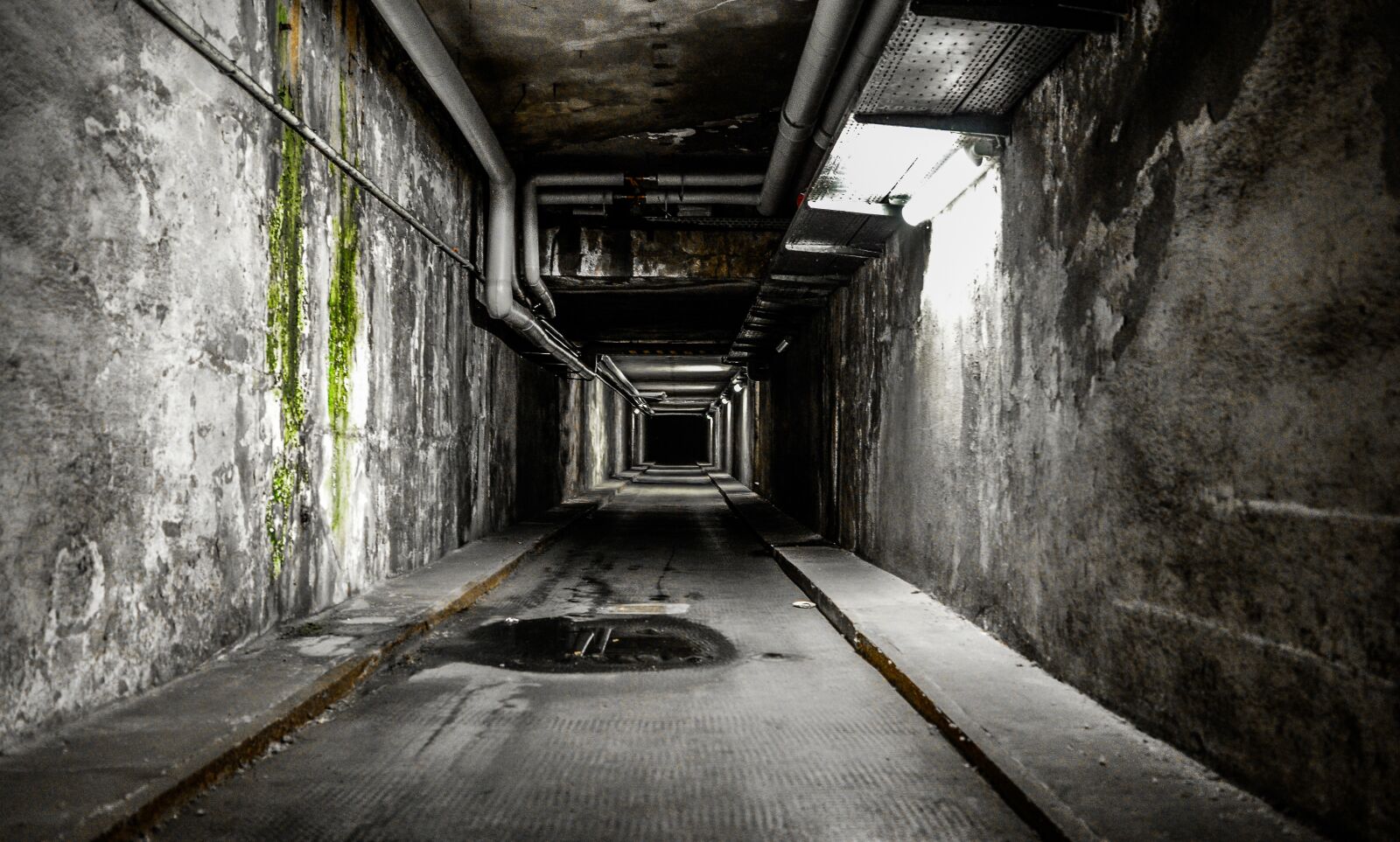 Nikon D5100 sample photo. Spooky, horror, creepy photography
