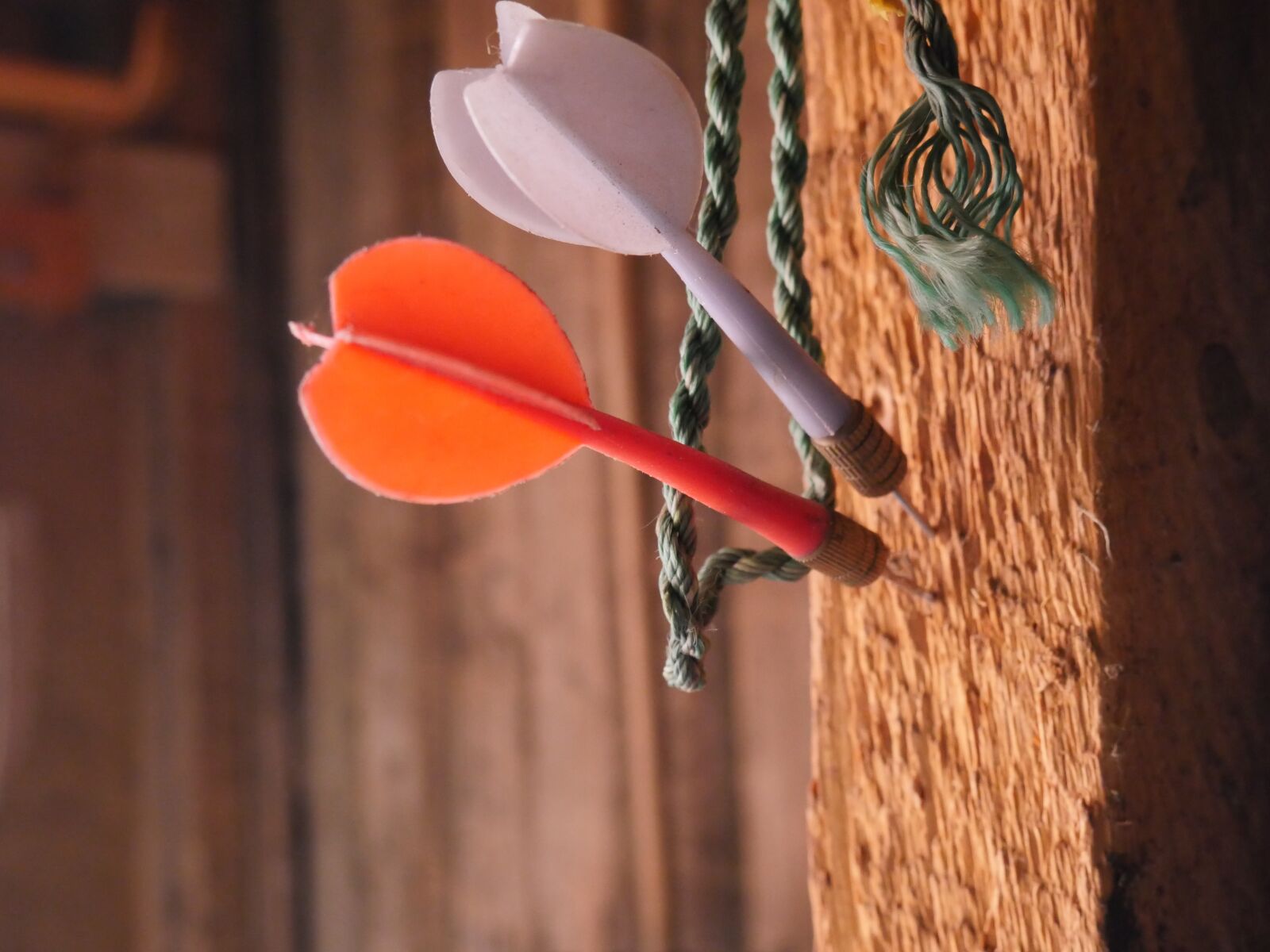 Panasonic Lumix DMC-GX8 sample photo. Darts, the purpose of photography