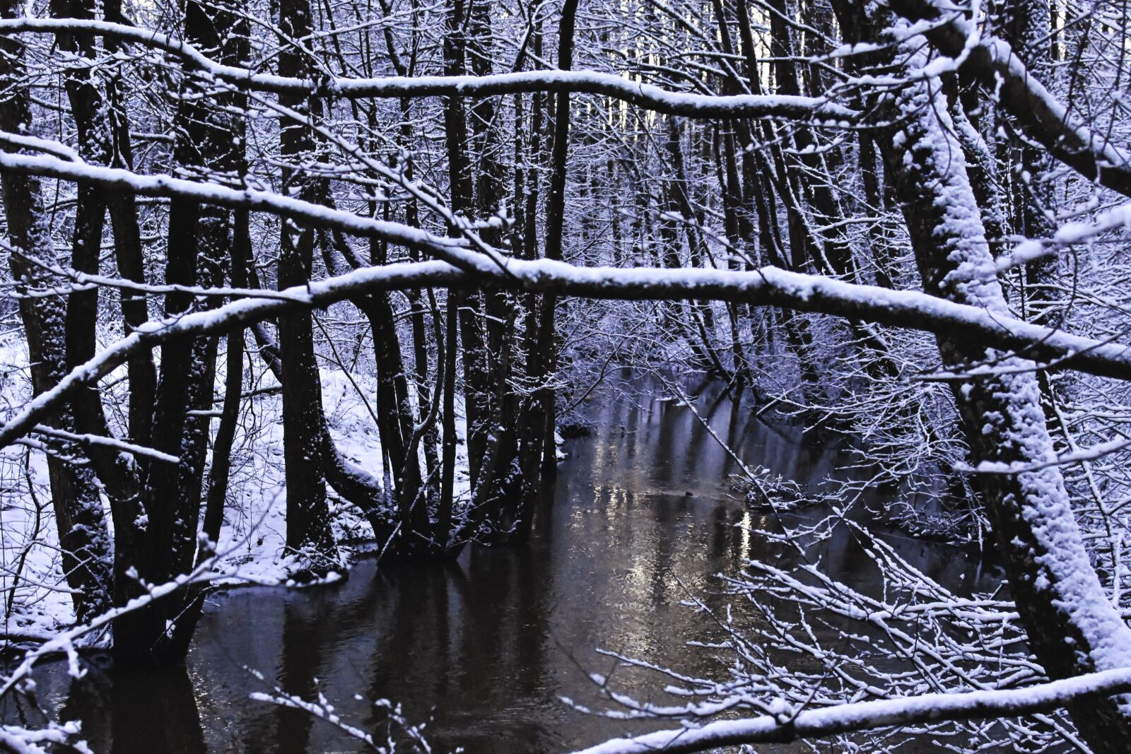 Nikon D7200 sample photo. Winter, winter forest, reflection photography