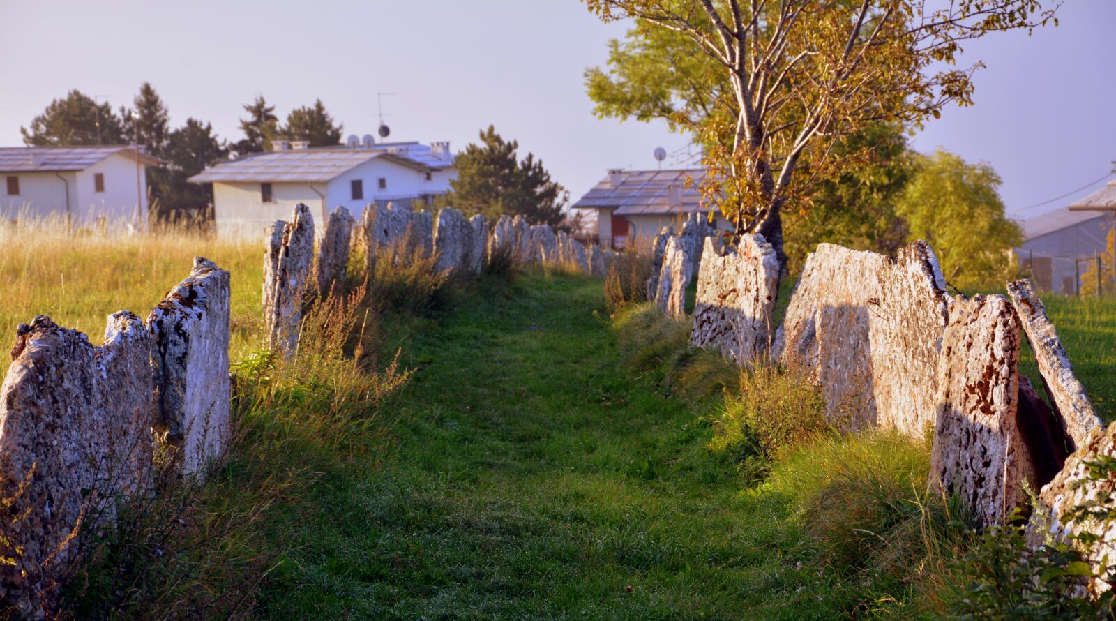 Nikon D7100 sample photo. Excursion, autumn, the european photography
