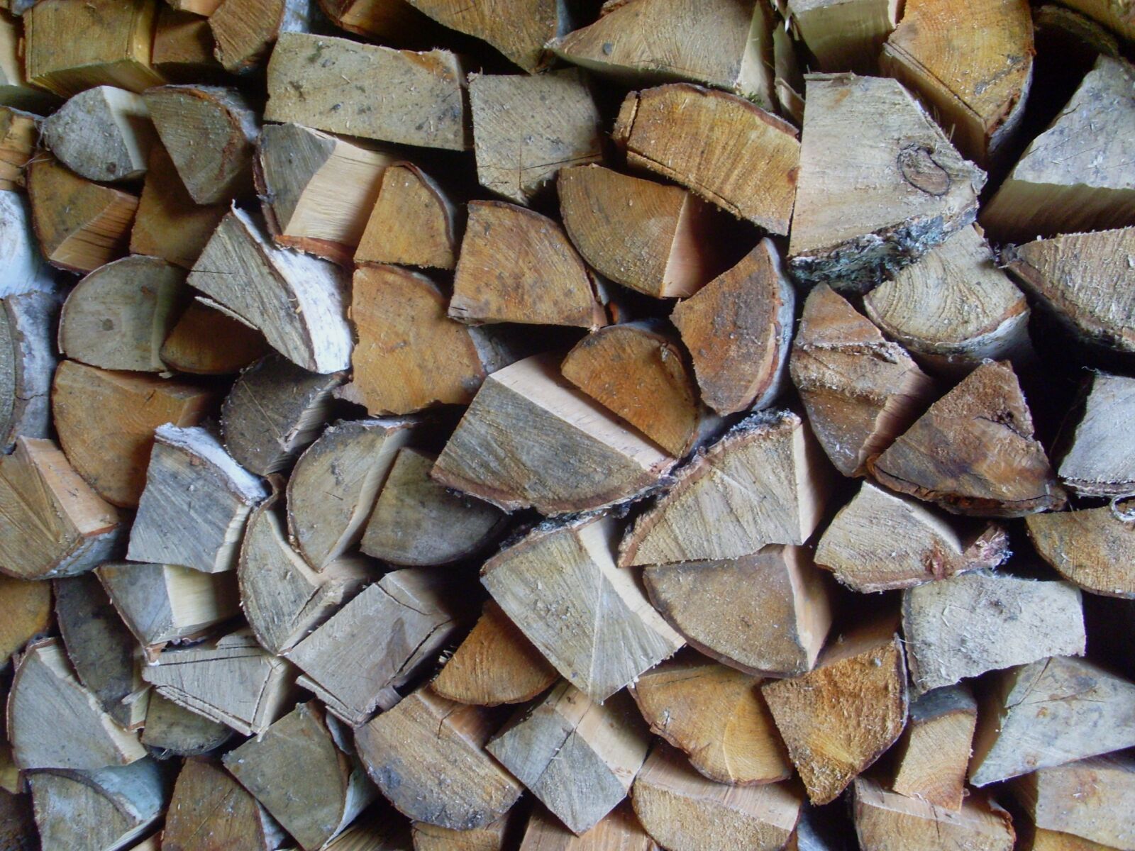 Samsung VLUU L730  / Samsung L730 sample photo. Firewood, wood drovnike, piled photography