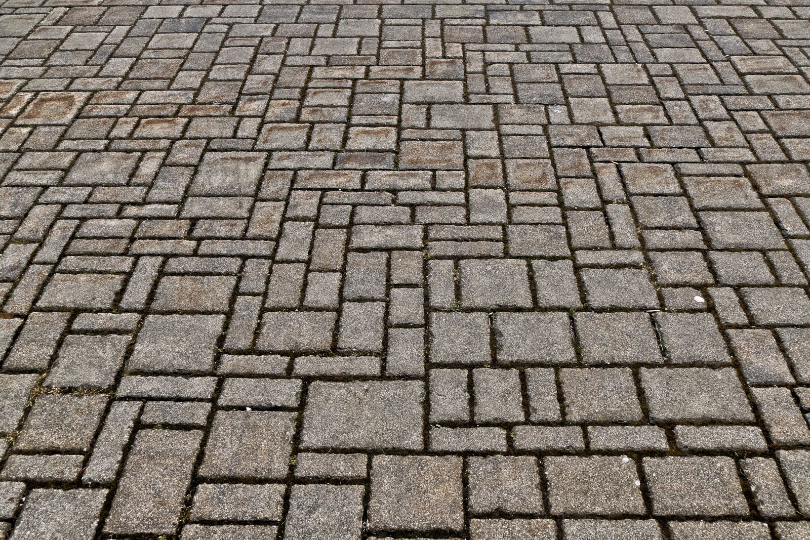 Panasonic Lumix DMC-FZ1000 sample photo. Patch, flooring, paving stones photography