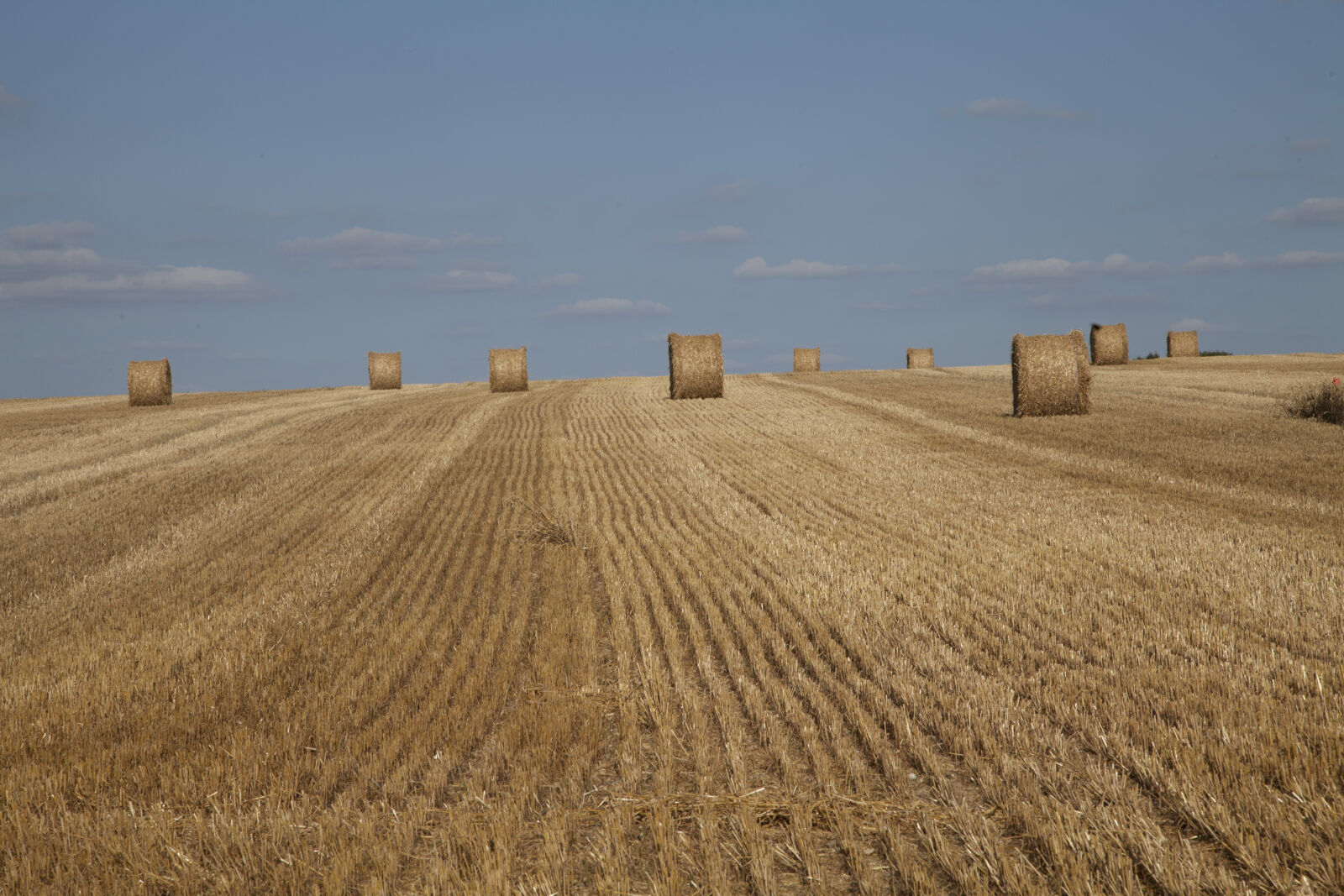 Canon EF 24-105mm F4L IS USM sample photo. Agricultural, agricultural, machine, field photography