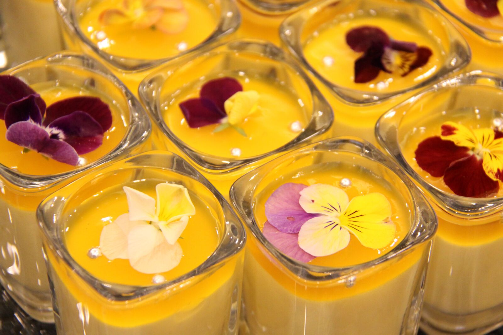 Canon EOS 50D sample photo. Dessert, sweets, cup photography