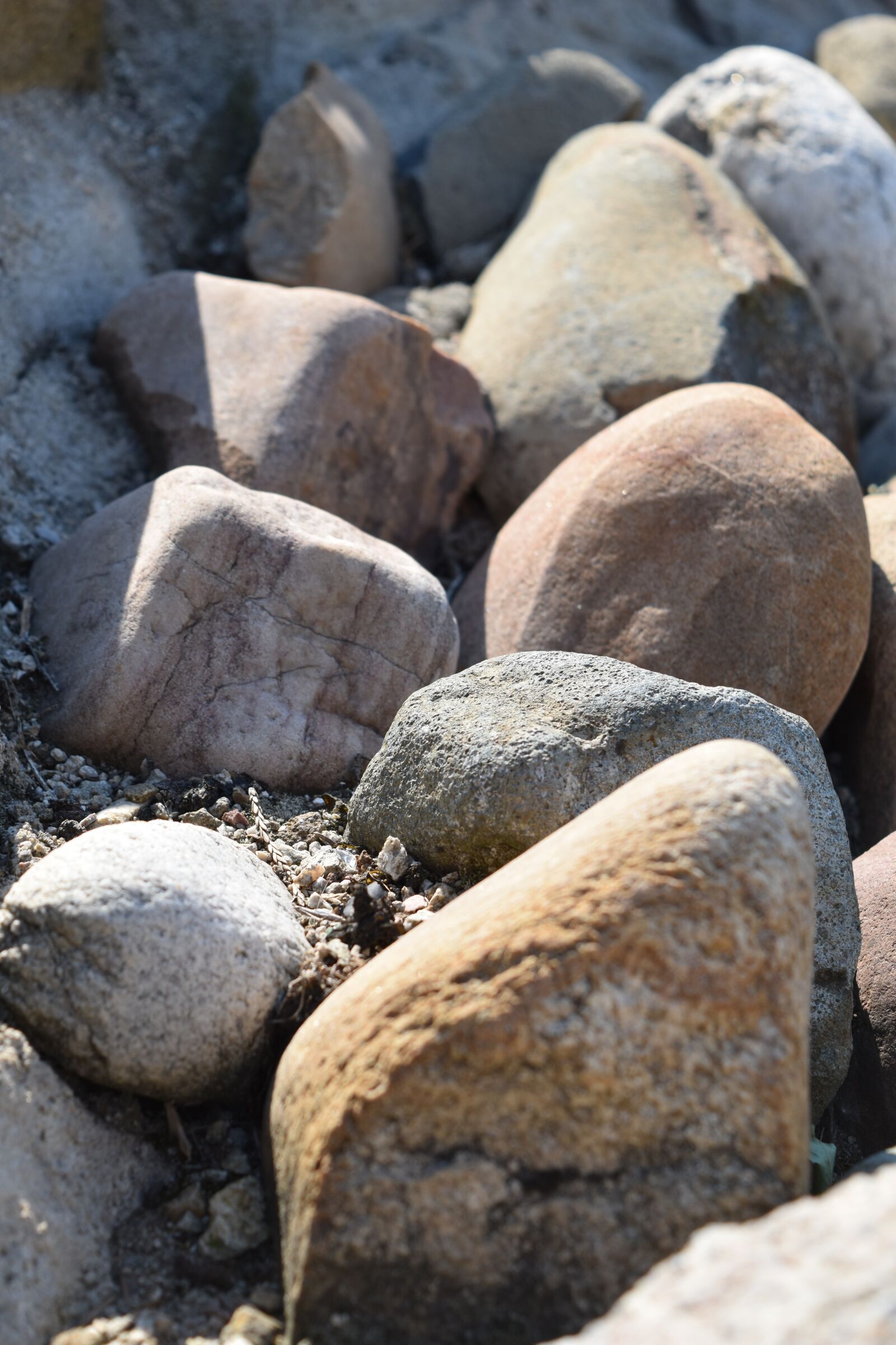 Nikon D5500 sample photo. Rocks, stones, prirora photography